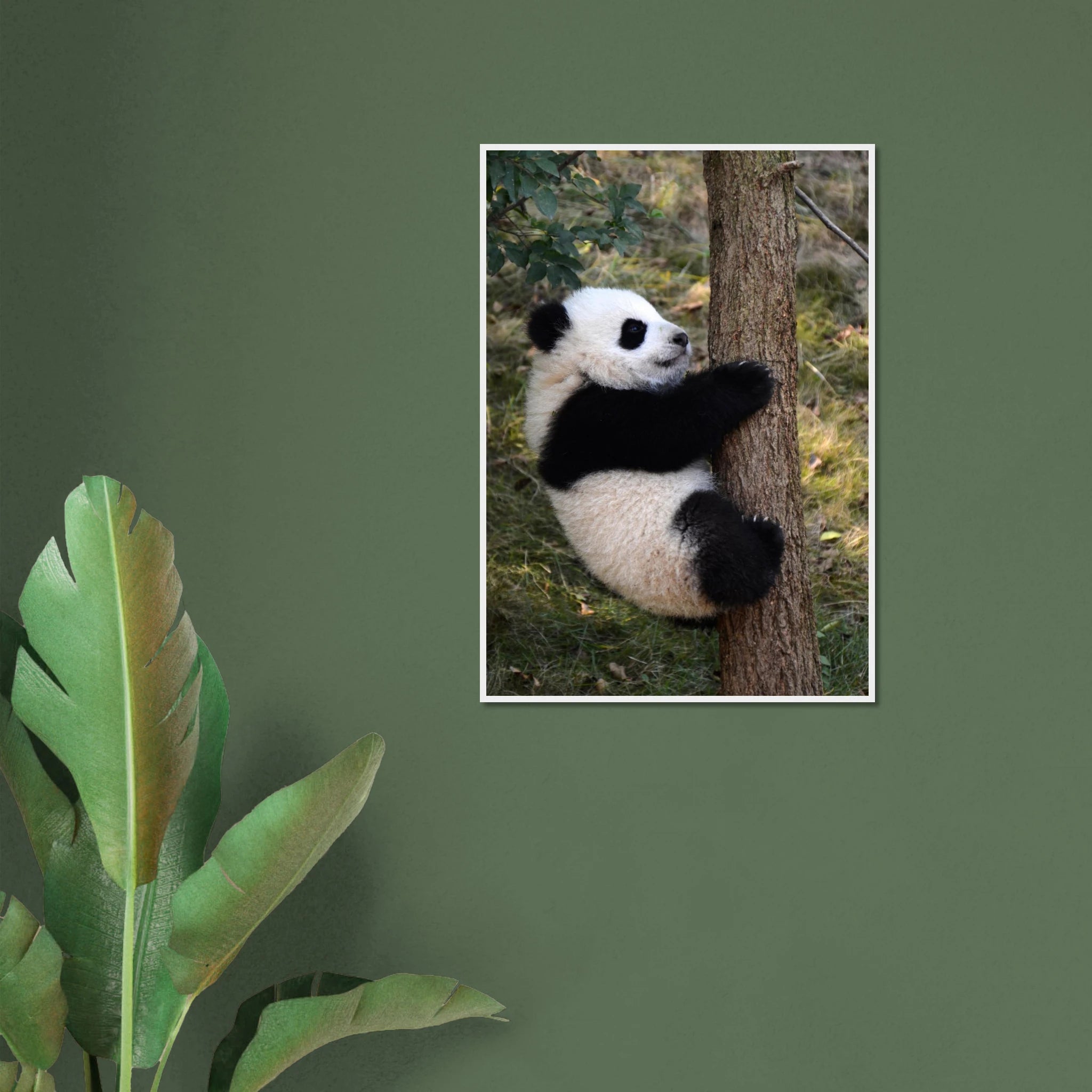 93f59f29-8db0-4f14-8acd-494f36d37893