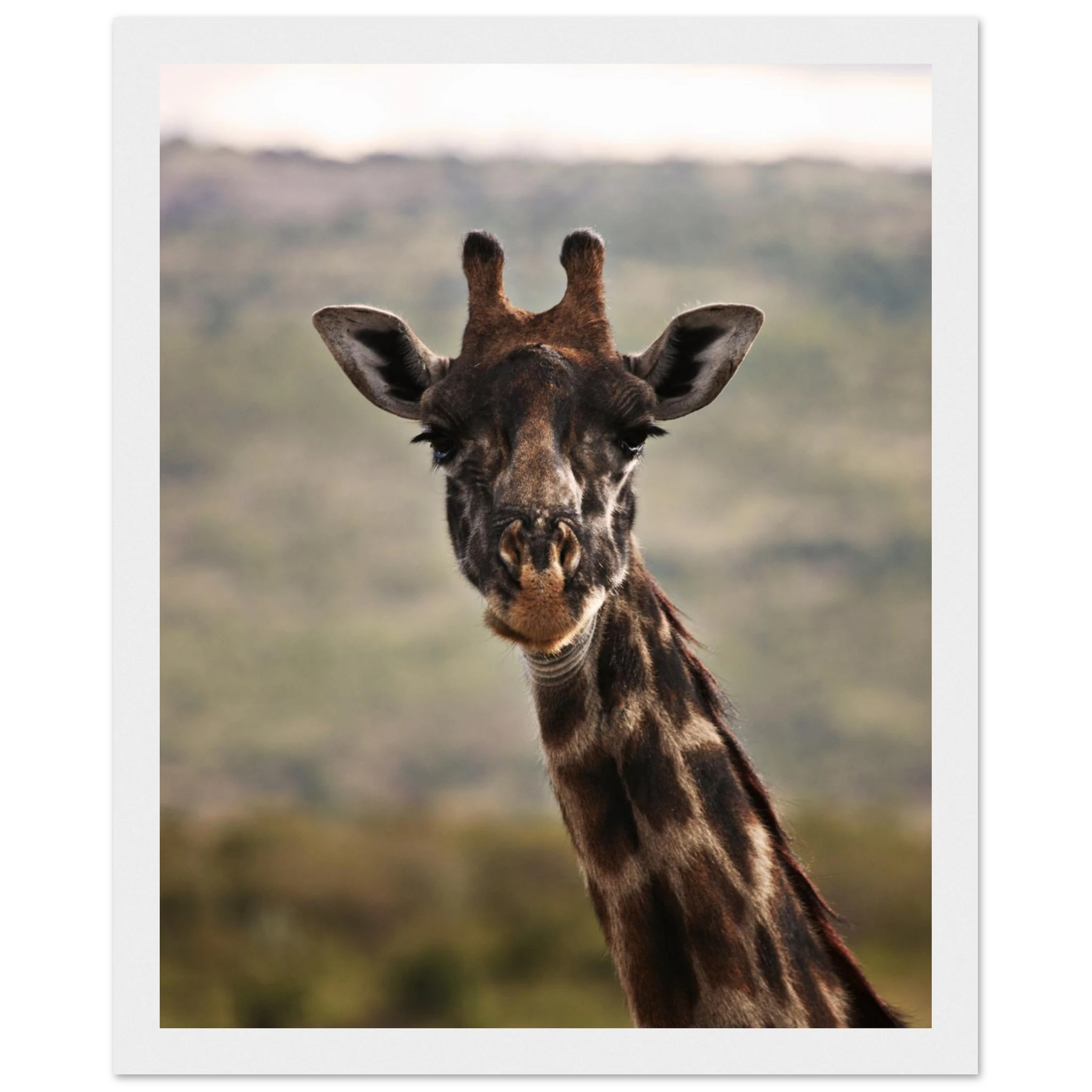 93fec143-664f-4ecd-b8c2-ae174da02e8e