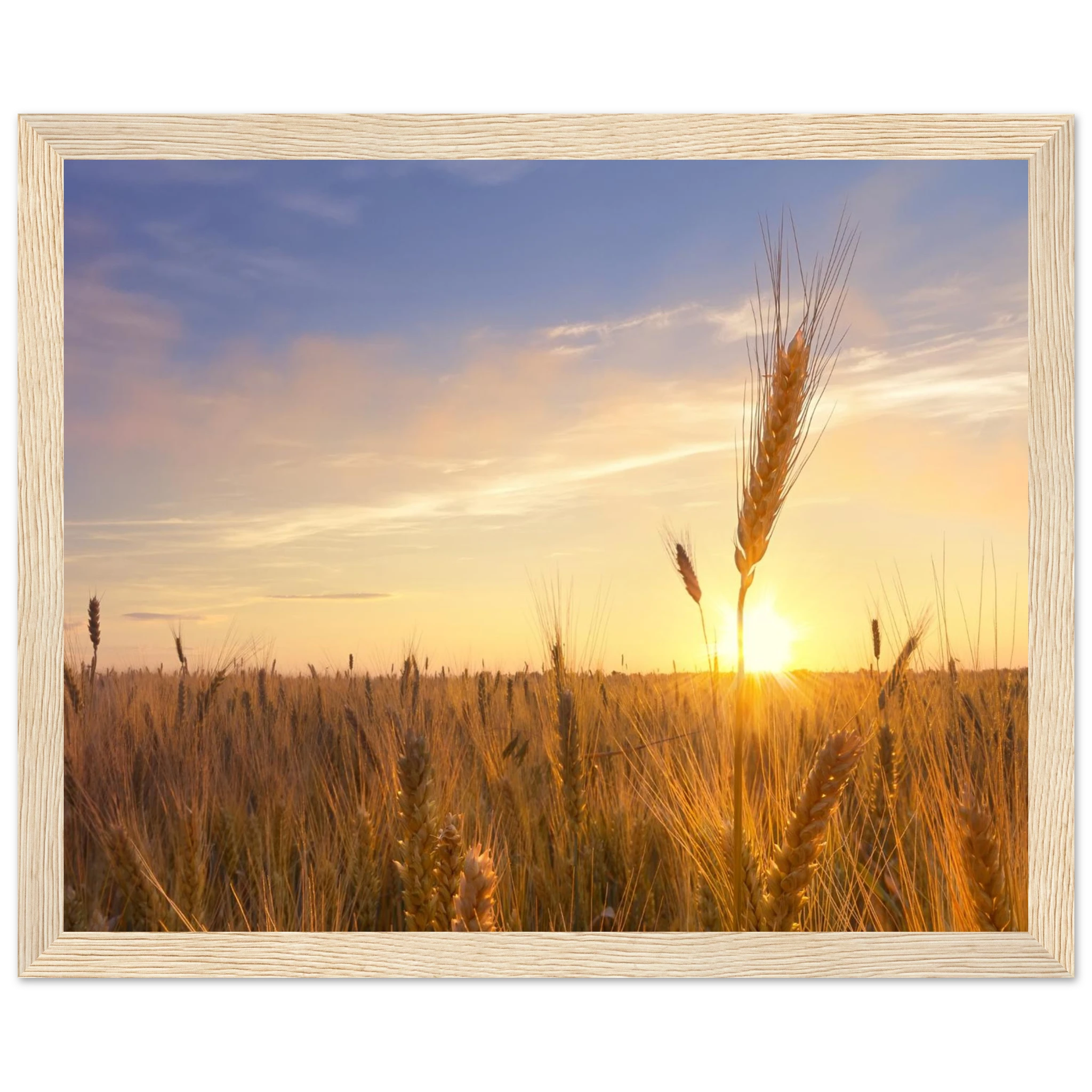 94107e4d-8682-43dc-b875-35fd3775c352