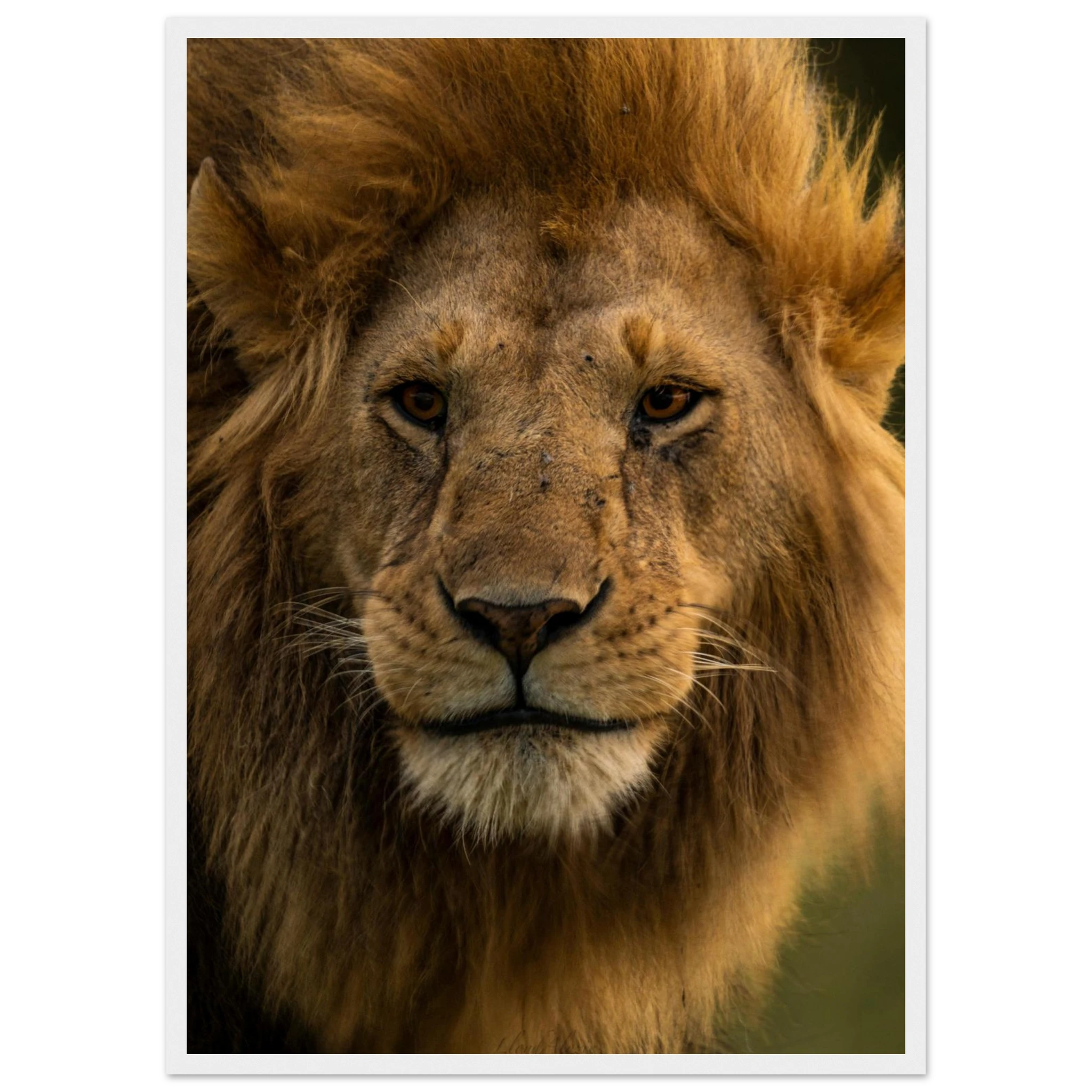 942a8041-c166-4ce0-915b-7c0e3bb45de0