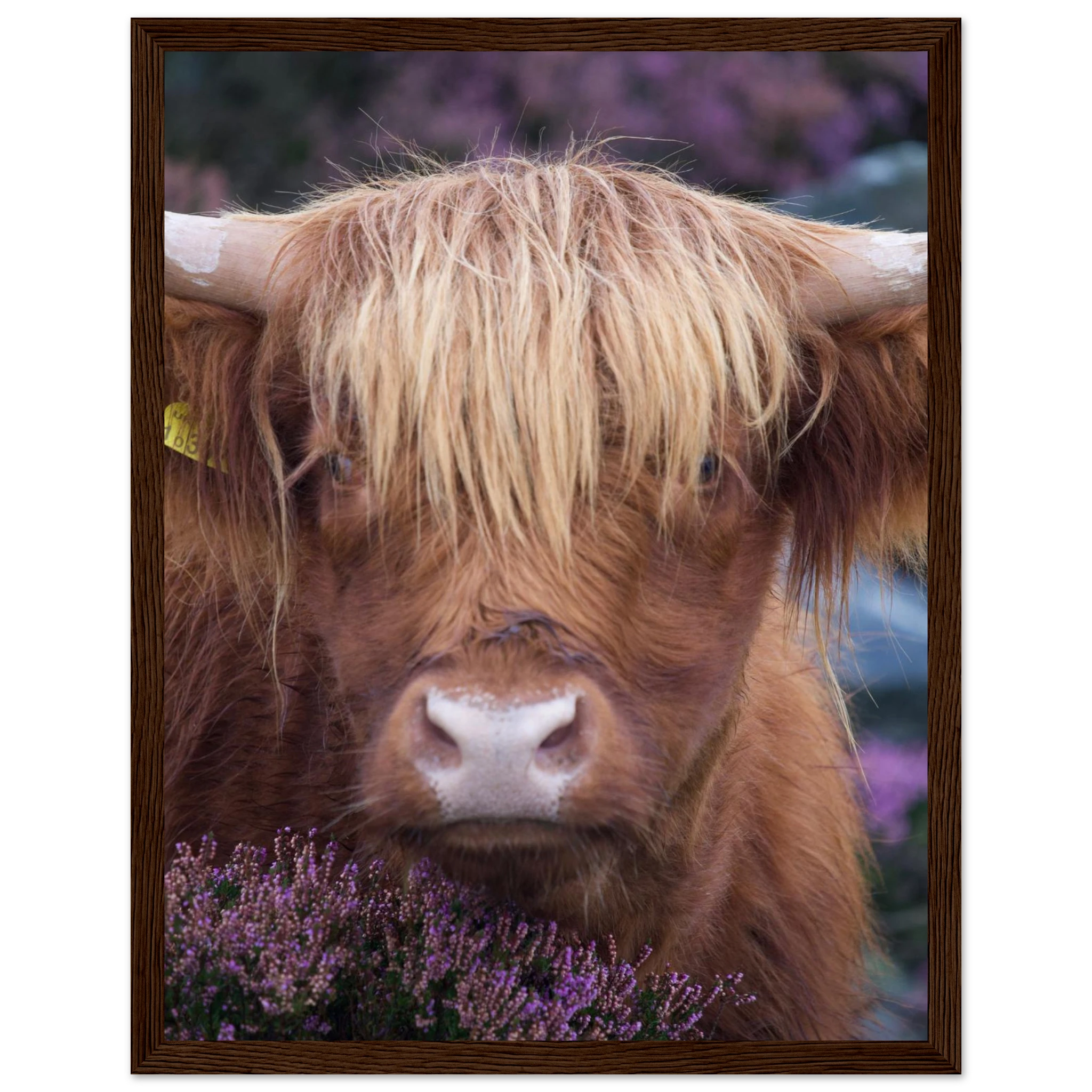 943b3a14-9253-4990-8ca6-45bb70a6c7d1