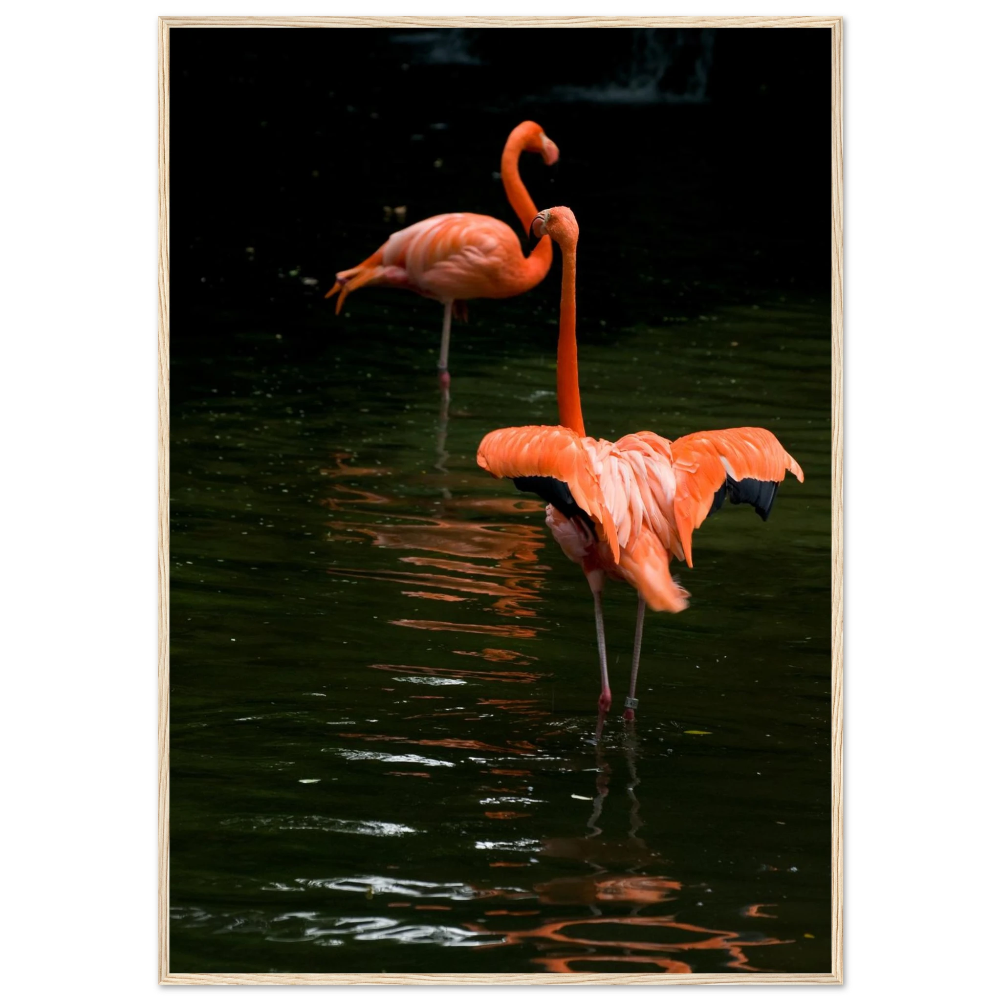 9449810c-86d0-4cf8-85f7-7320a9ff95c2