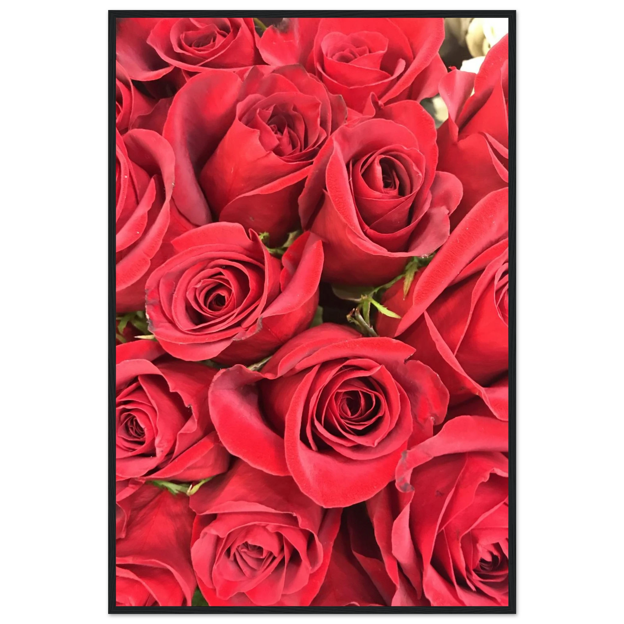 945793d9-df57-4d7d-919a-0df1052eb571