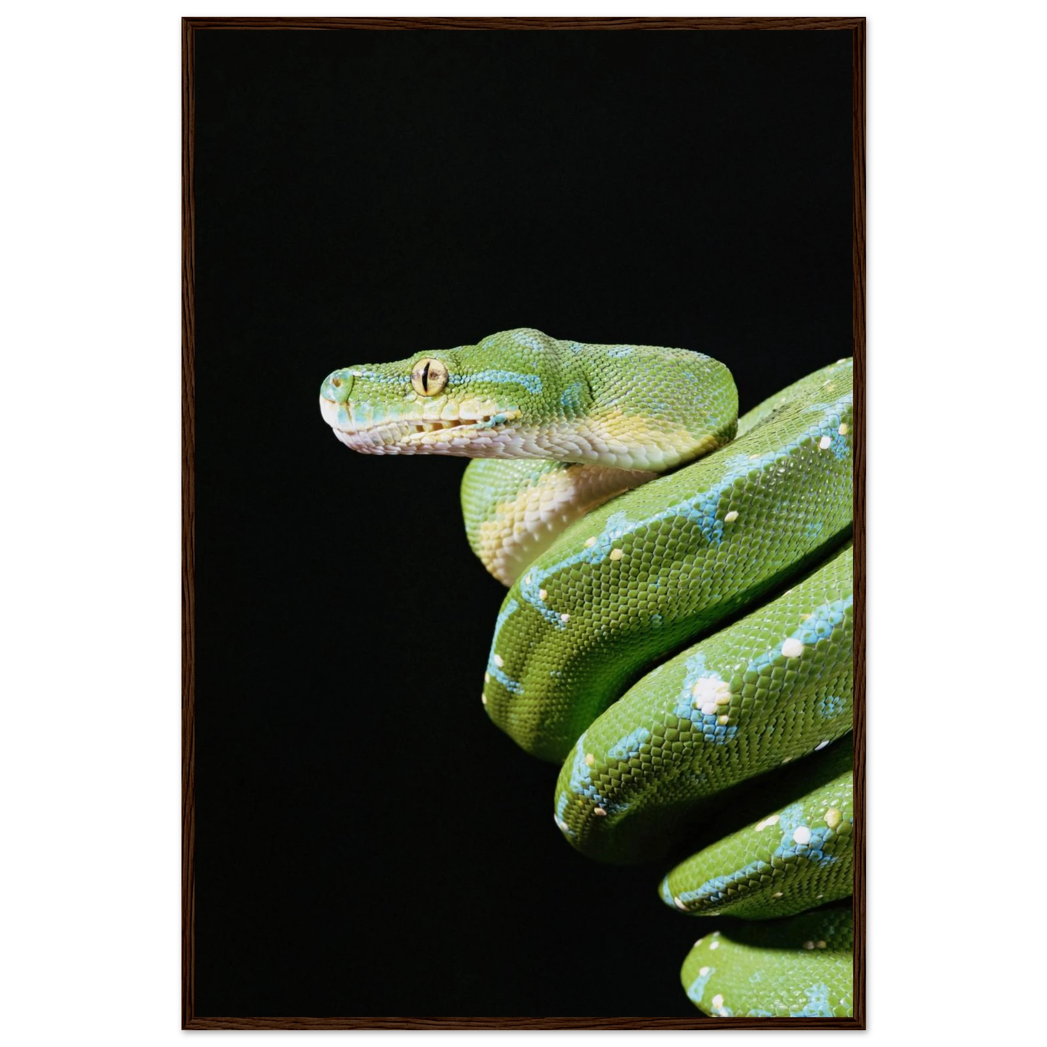 9468d914-13ab-4819-977a-1bee9f207091