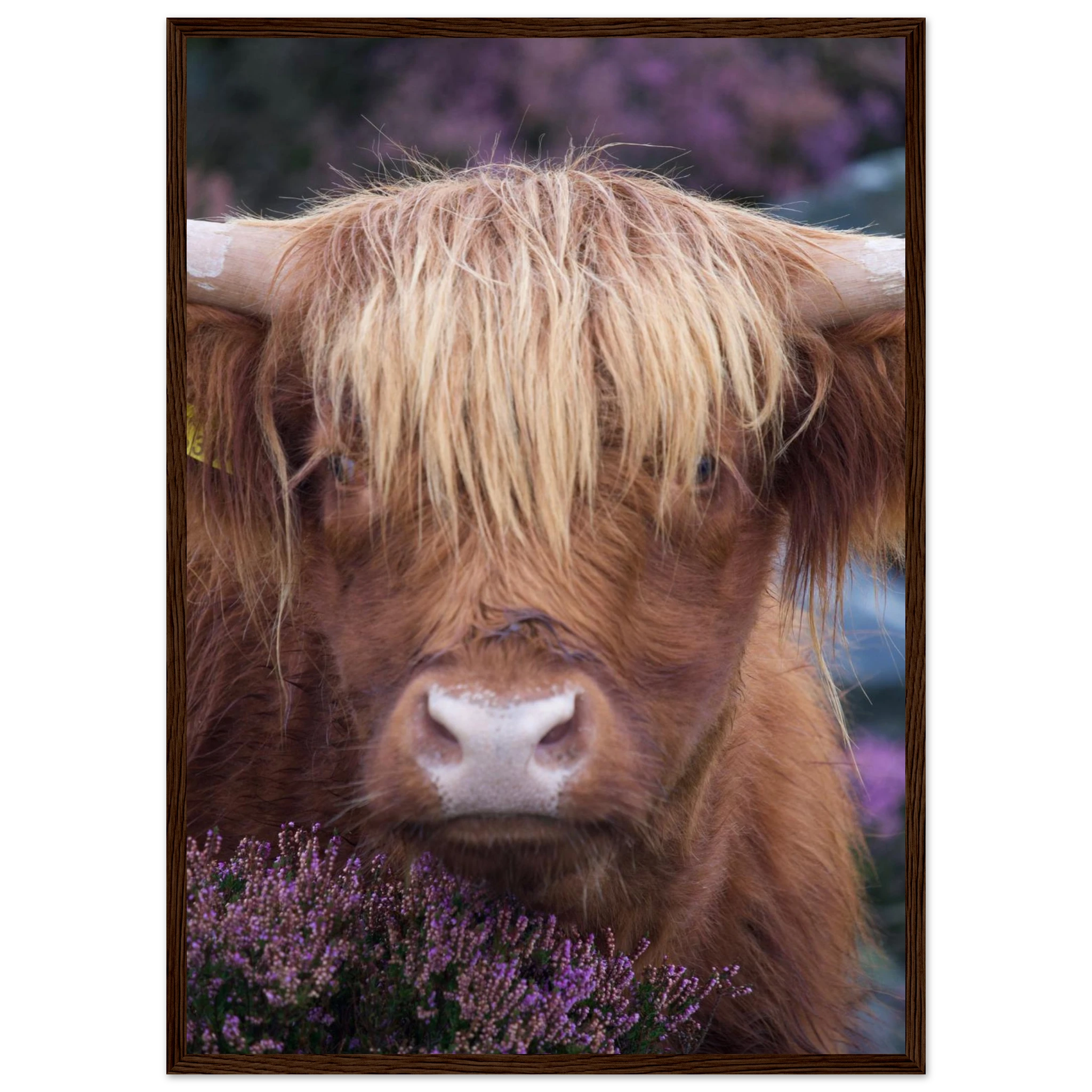 946e979f-4390-42e3-a98d-60e5753fb2ea