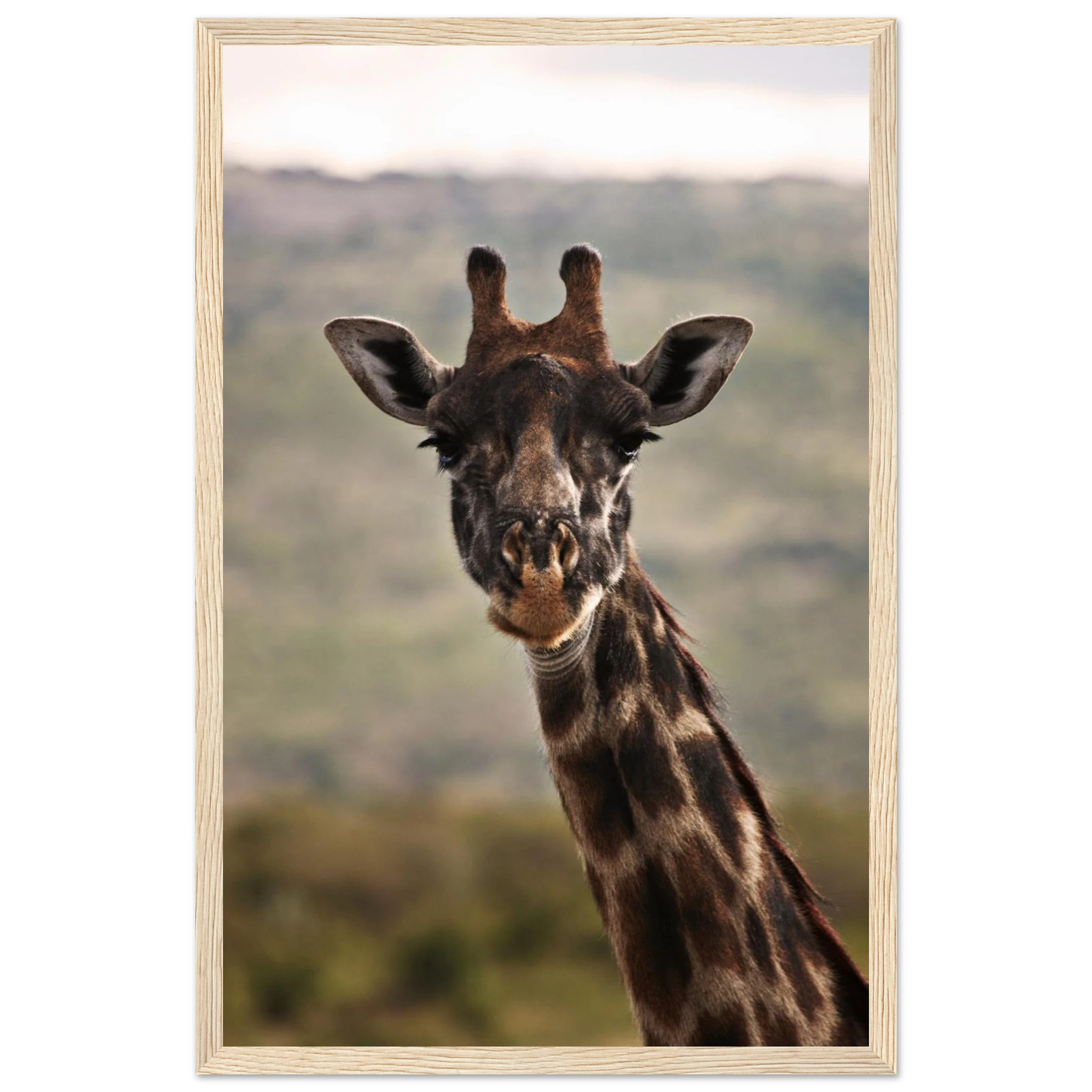 947f35a9-7f01-4869-b85b-bb8f01893cc1