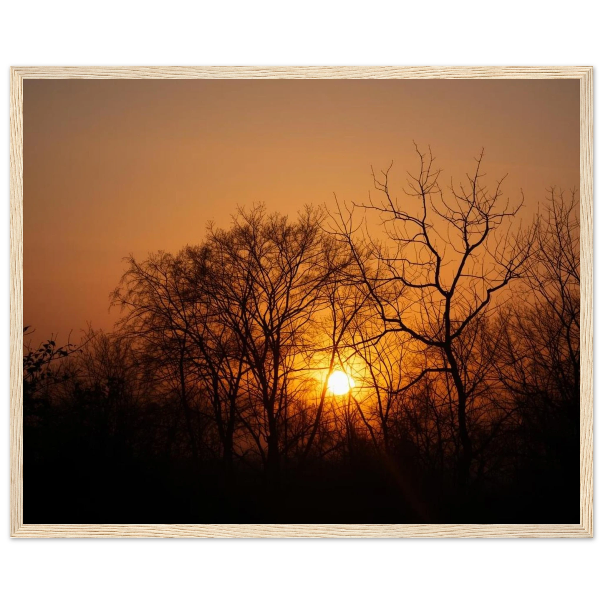 948a2574-ad8e-4331-9917-cdcd18b9dd49