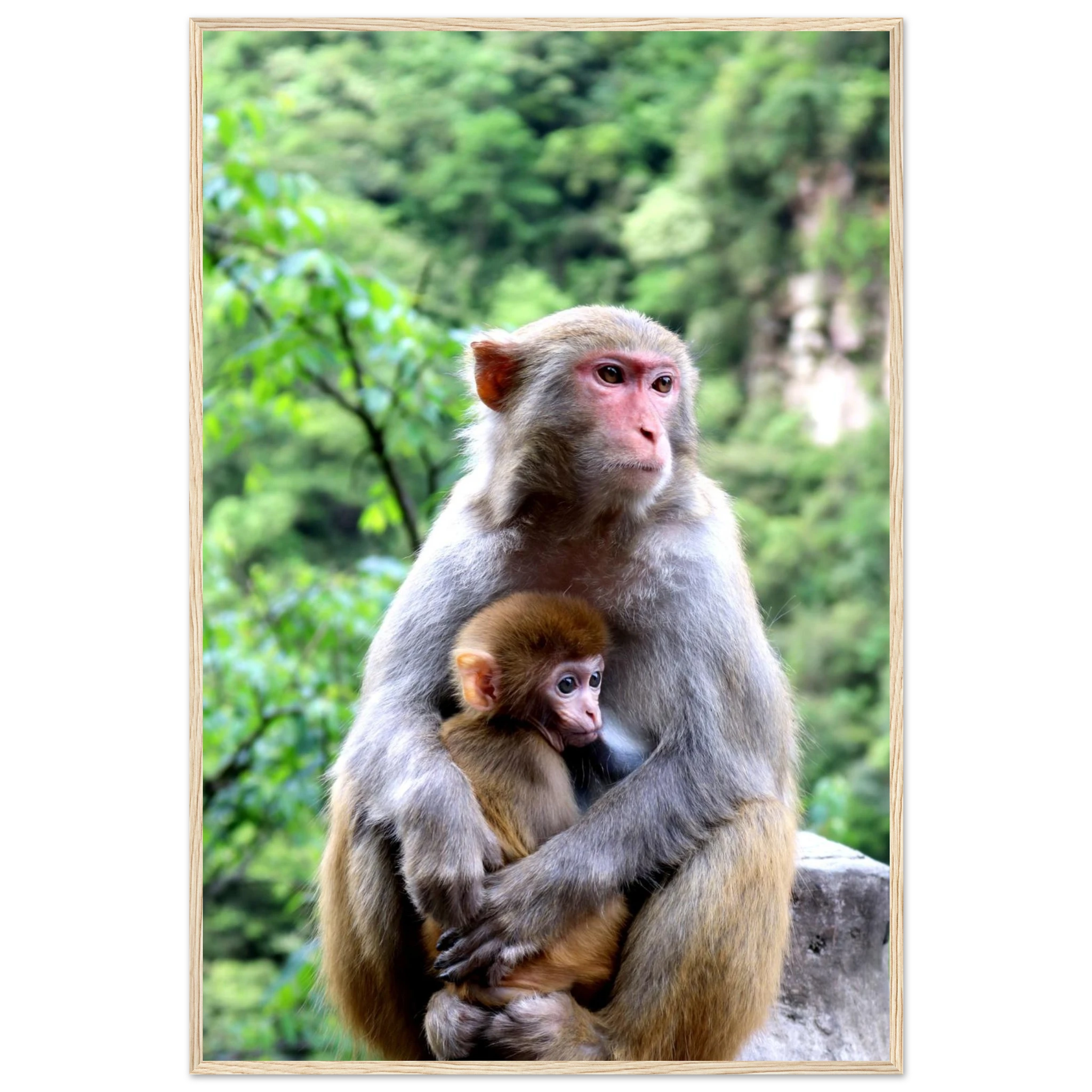 9499add4-66b6-49d8-8088-e3b7700aa762