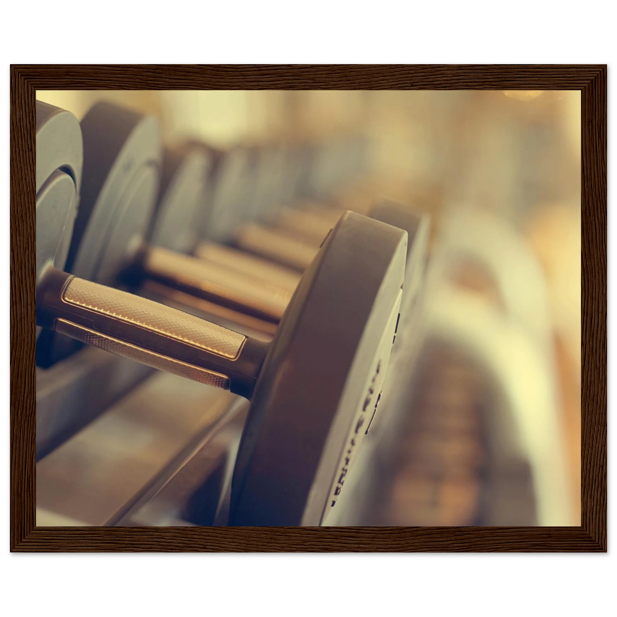 94afdbed-4fcb-4c0c-a983-016cf6958663