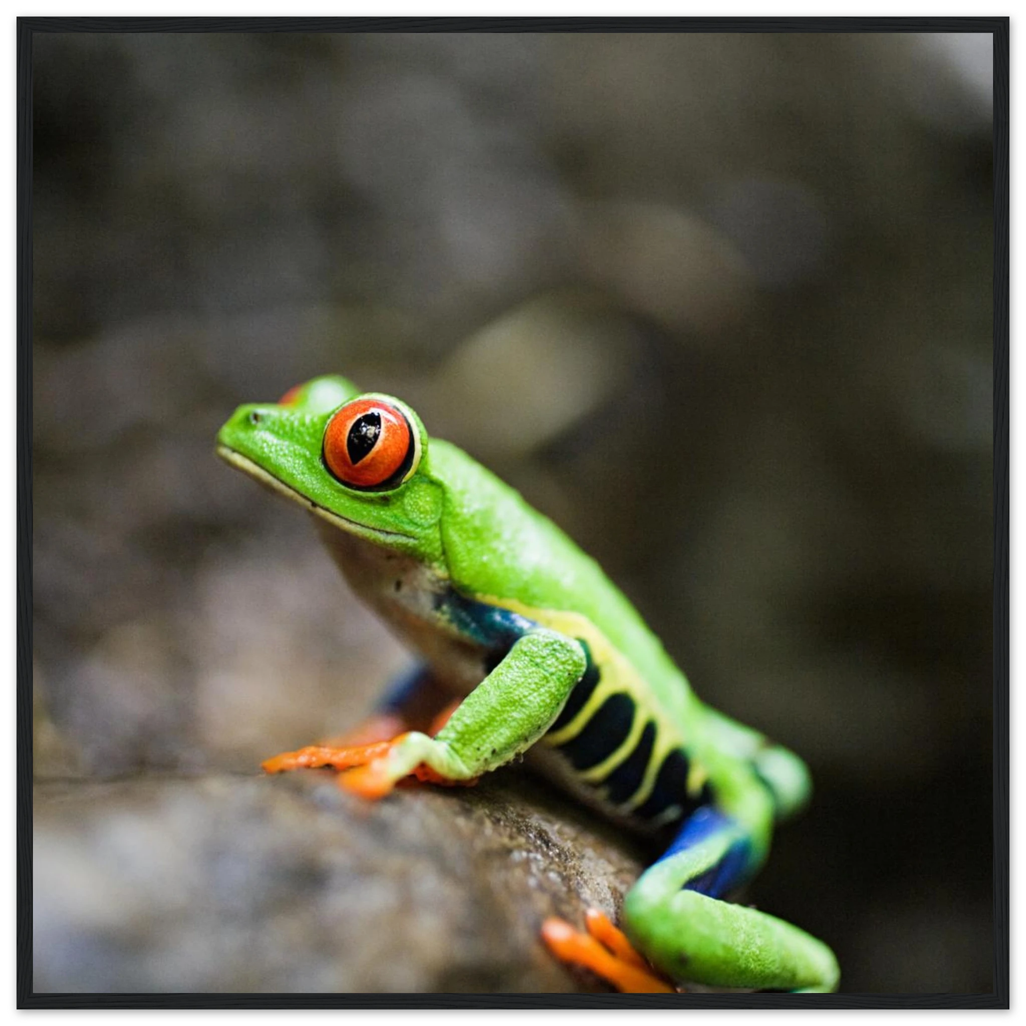 94c7807d-a702-40e4-b828-9441897f209b