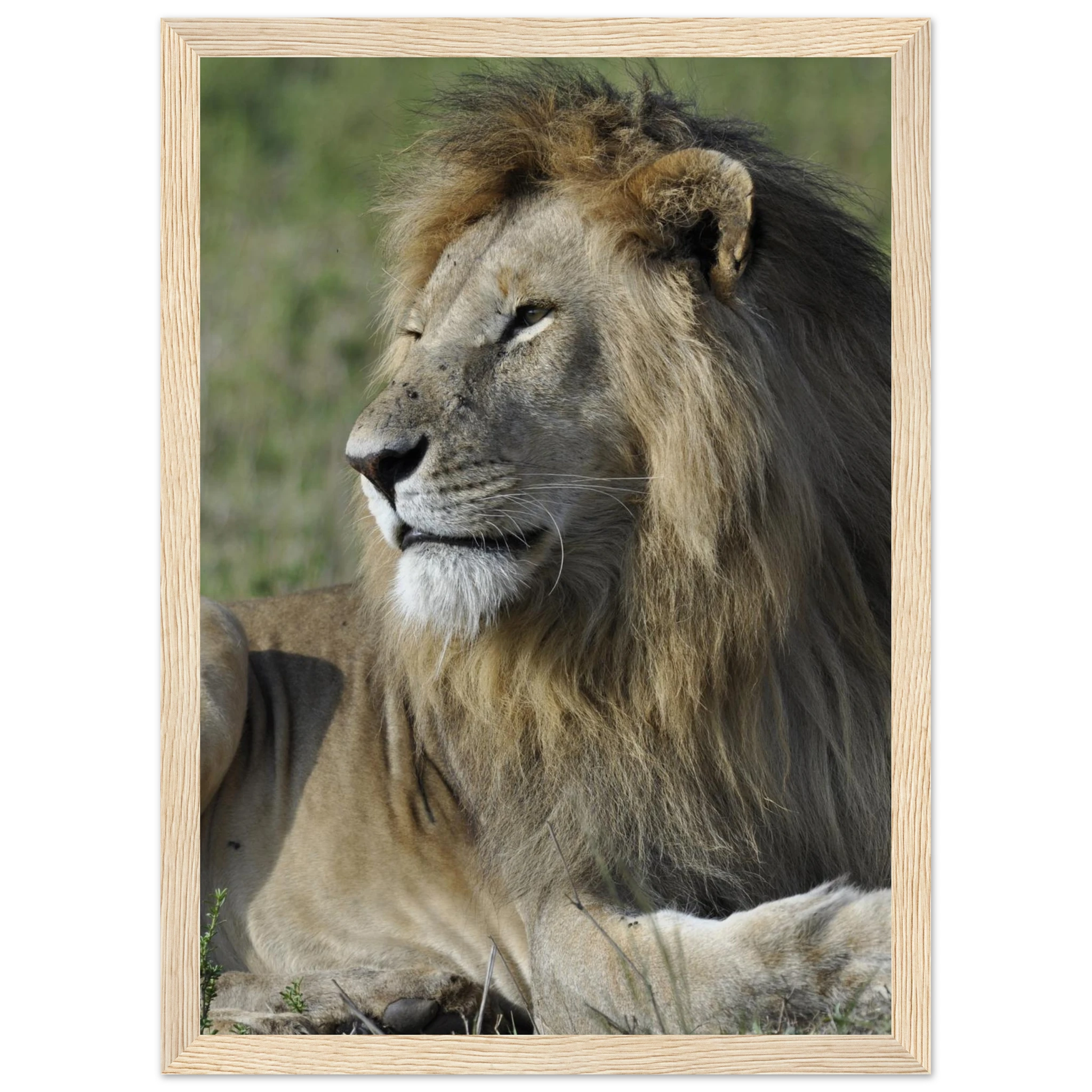 94f892bc-b2fe-447d-a5c7-735f61f6d690