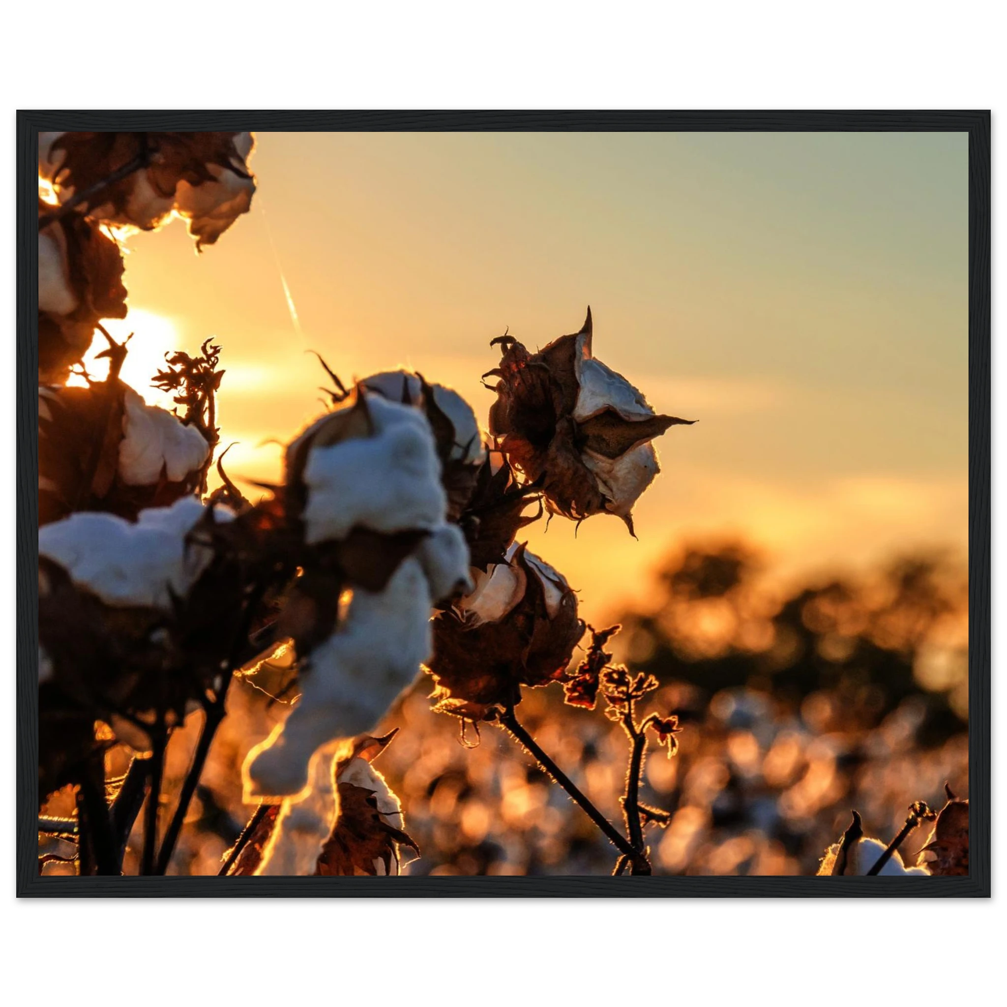 950208af-4bb0-4c44-aa04-d067af4bc1d8