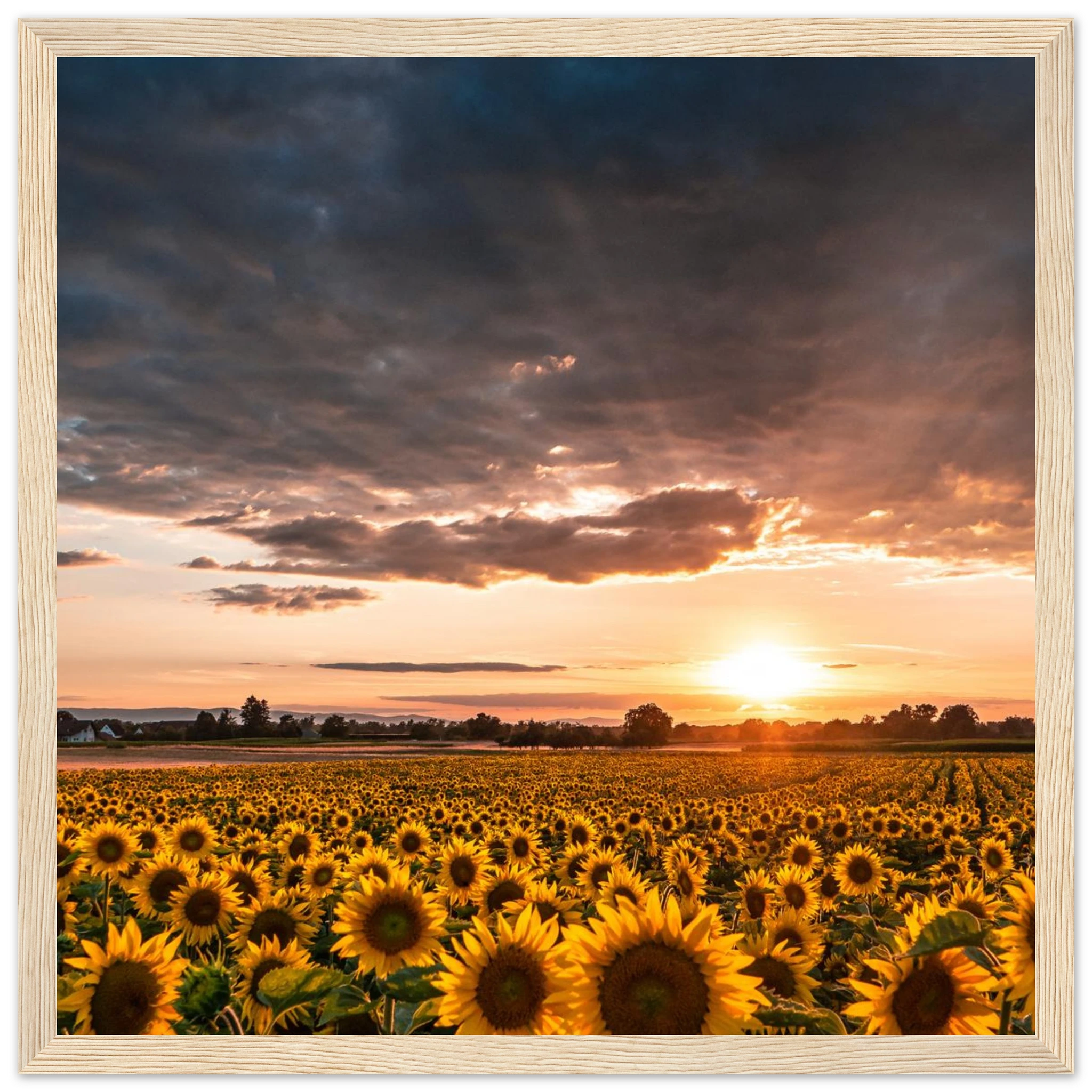 95083b83-5699-4796-86af-f3dbb95ee567