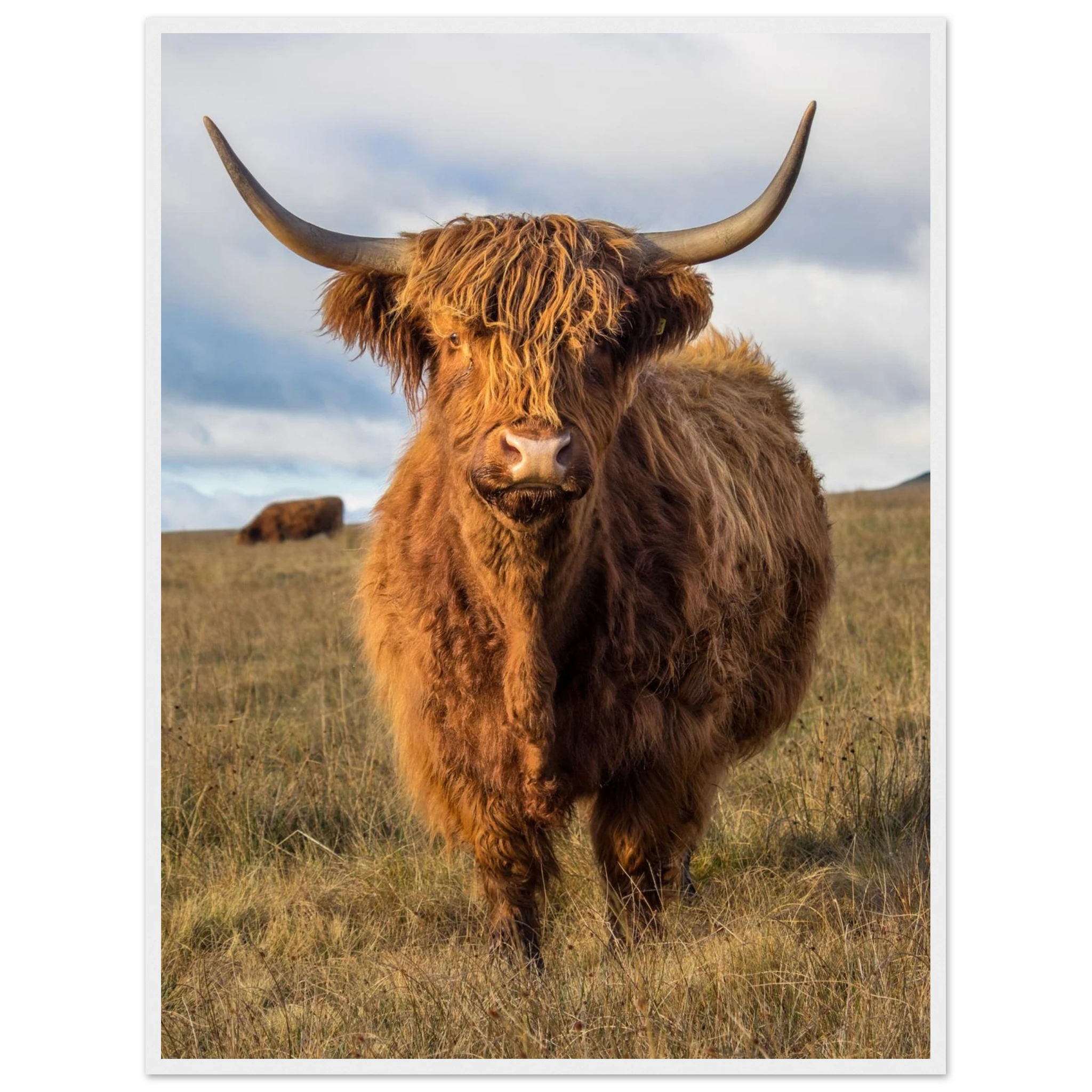 95131adb-c96e-4872-9a08-7953f860298f