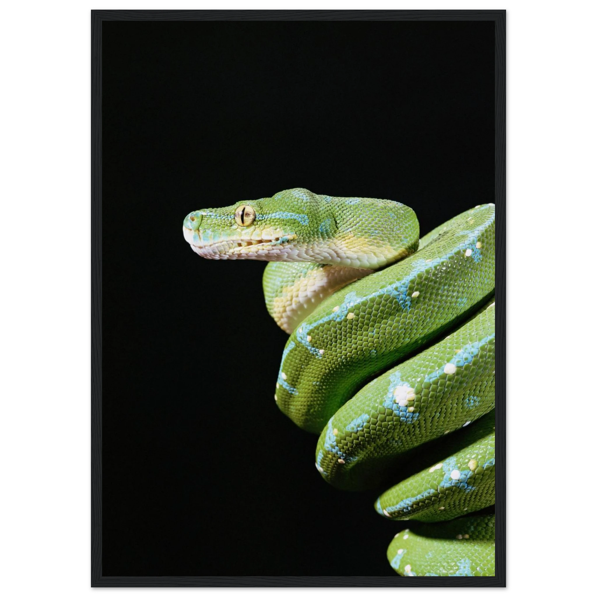 95316fd8-7e68-41de-820d-d9b1d86c03a1