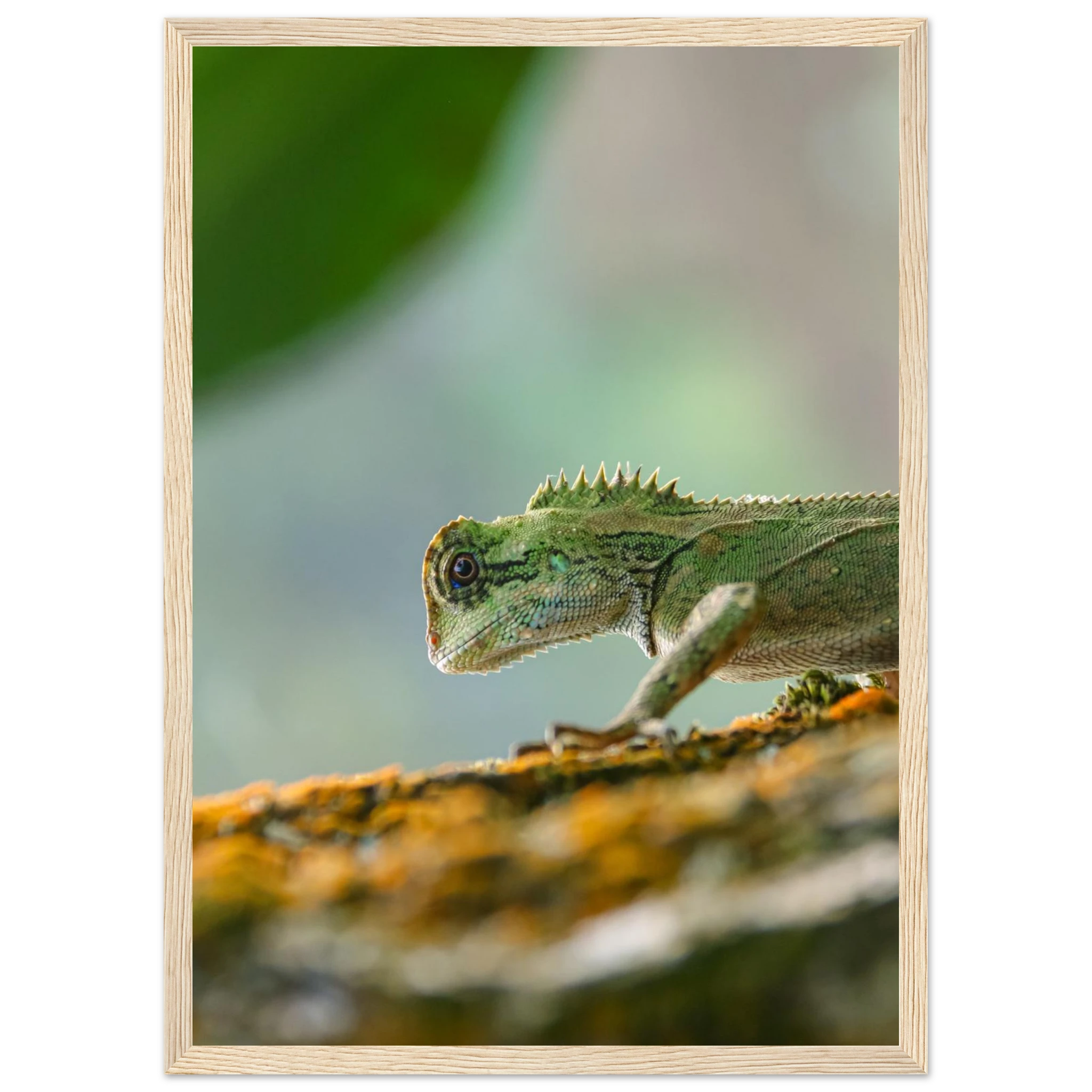 9535a6d8-7817-4520-8221-9019939b0c06