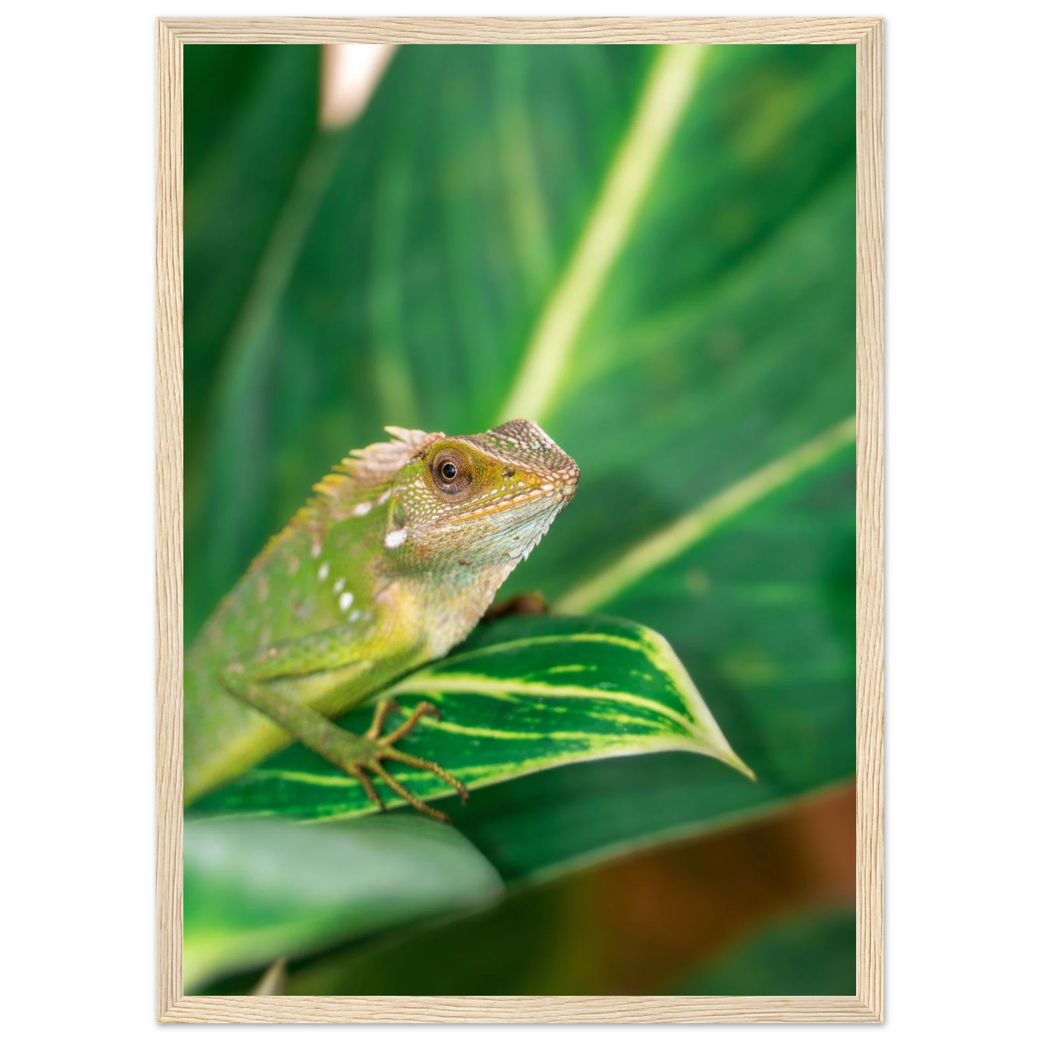 954a166d-294a-496c-855a-5ebf47fa455a