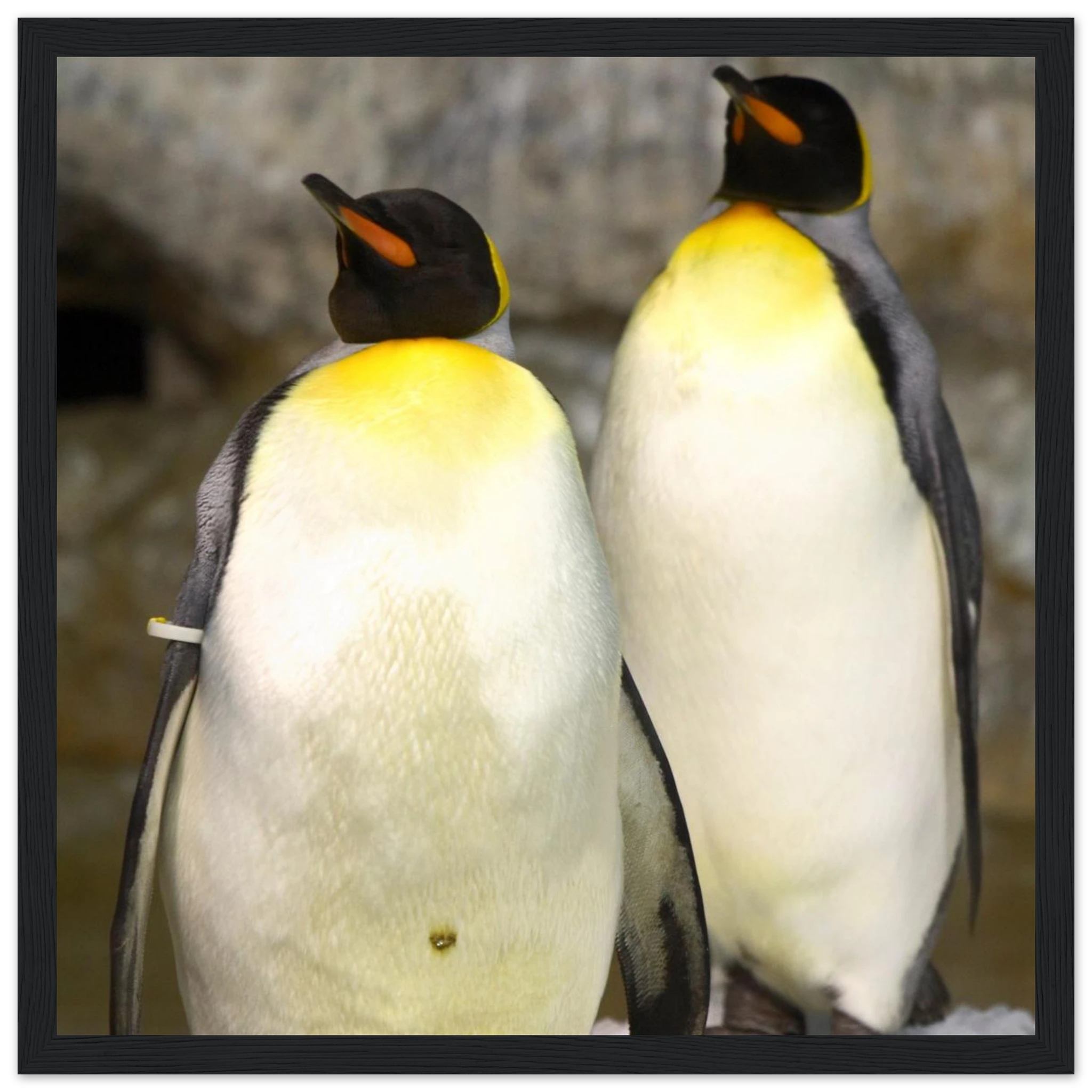 9557313b-9079-4402-bae4-279e36dcb115