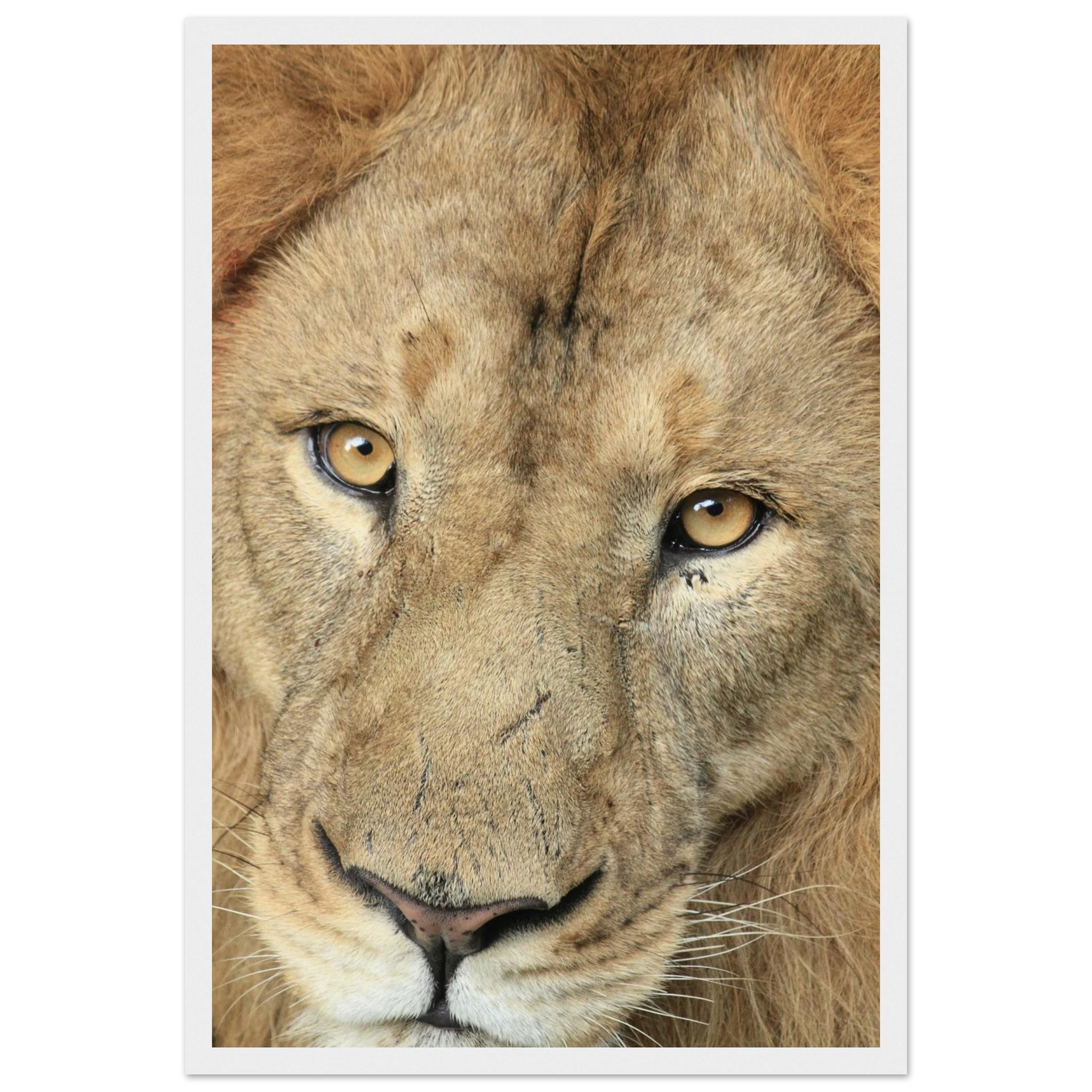 956ab155-d854-4d9d-a838-757bc0989b8c