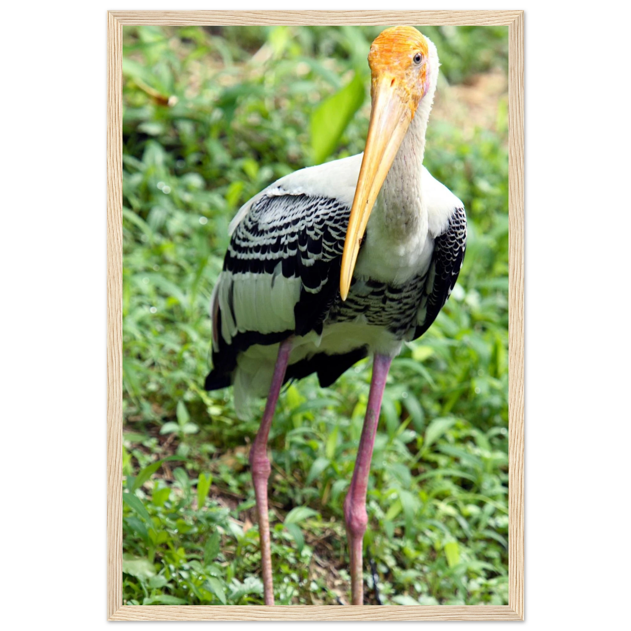 9575105f-07cb-4b47-b58d-7dc3dc6d5d9c