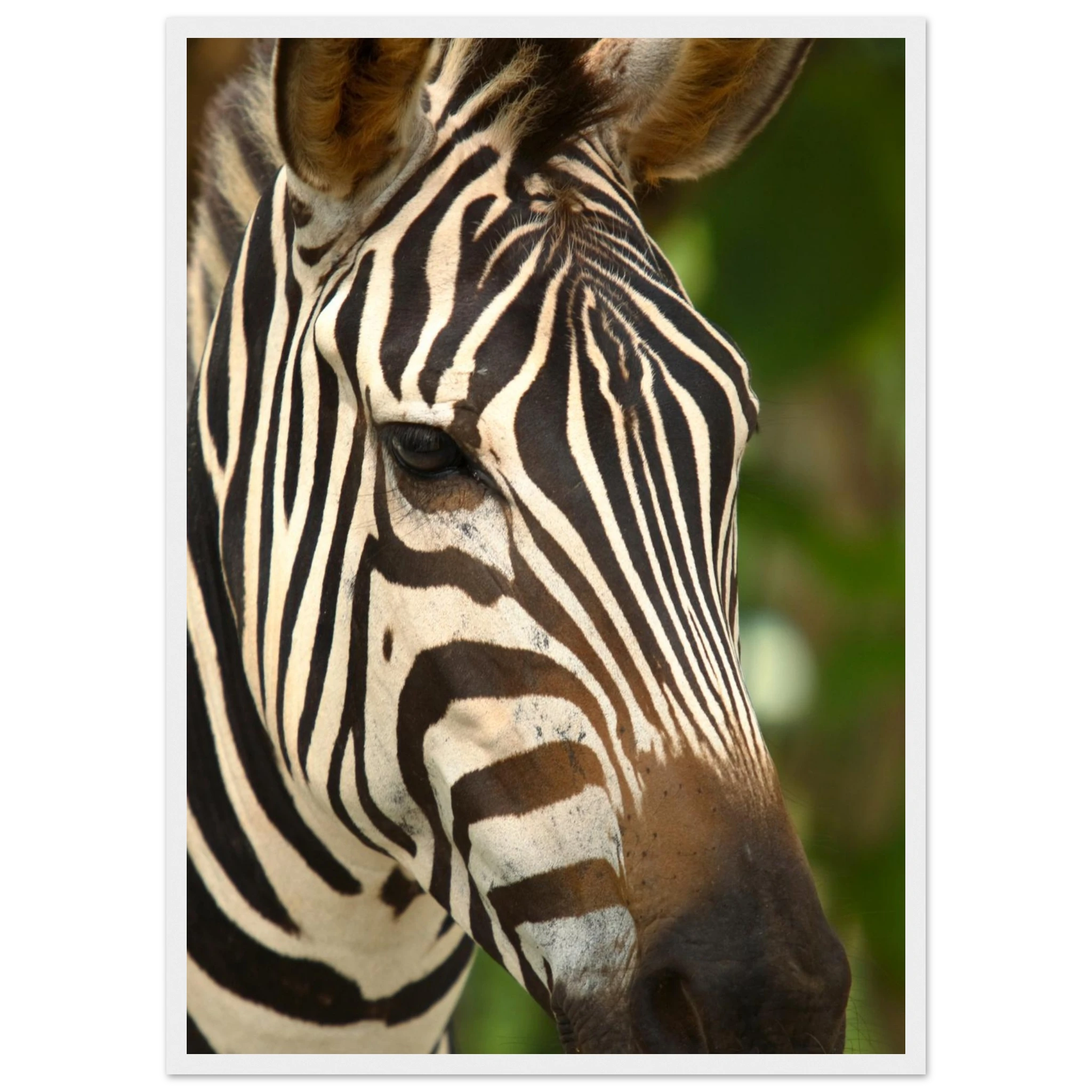 959bf4ef-e159-43c6-9b63-011d57d780eb