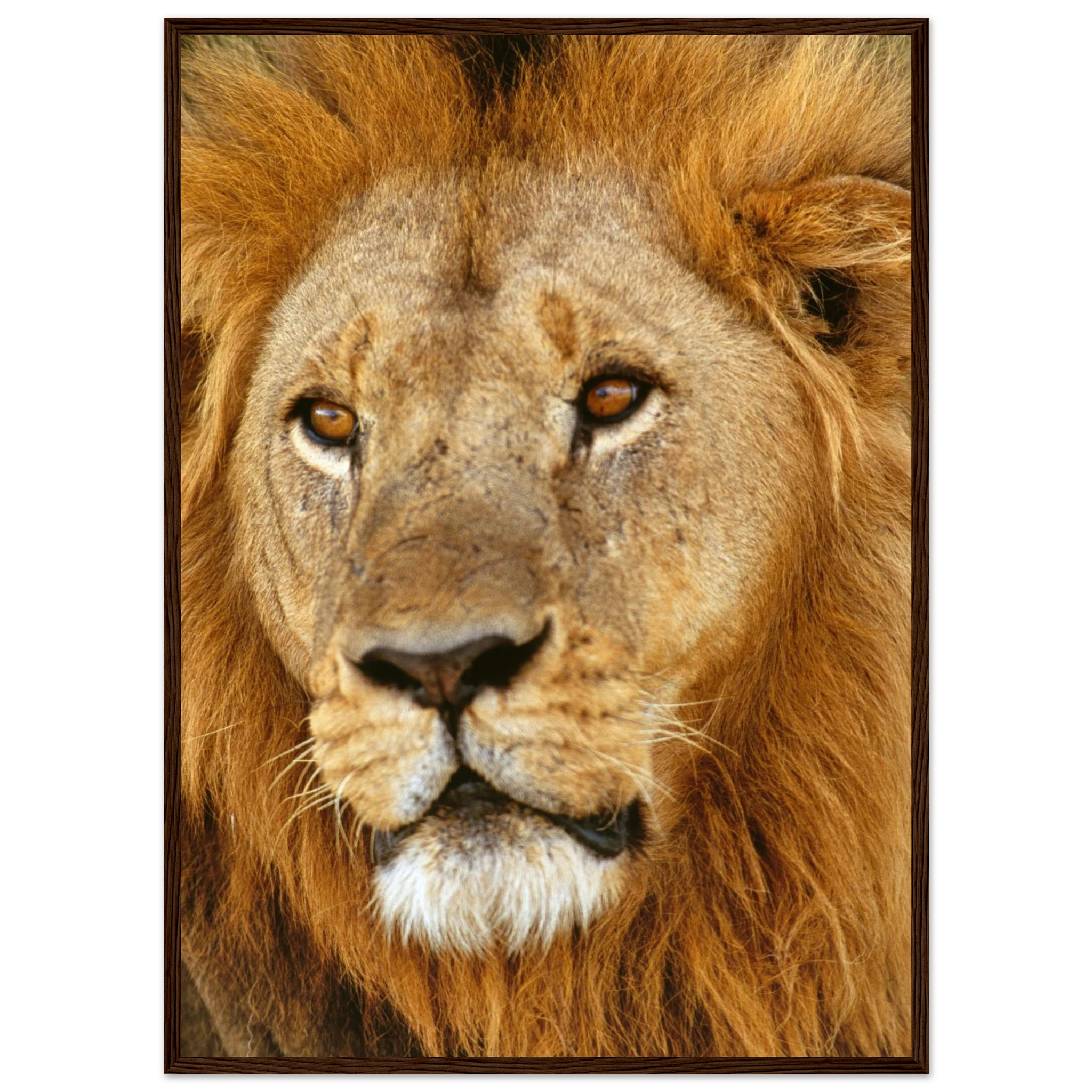 95ab61e1-9281-43cc-b313-b5554a586cdb