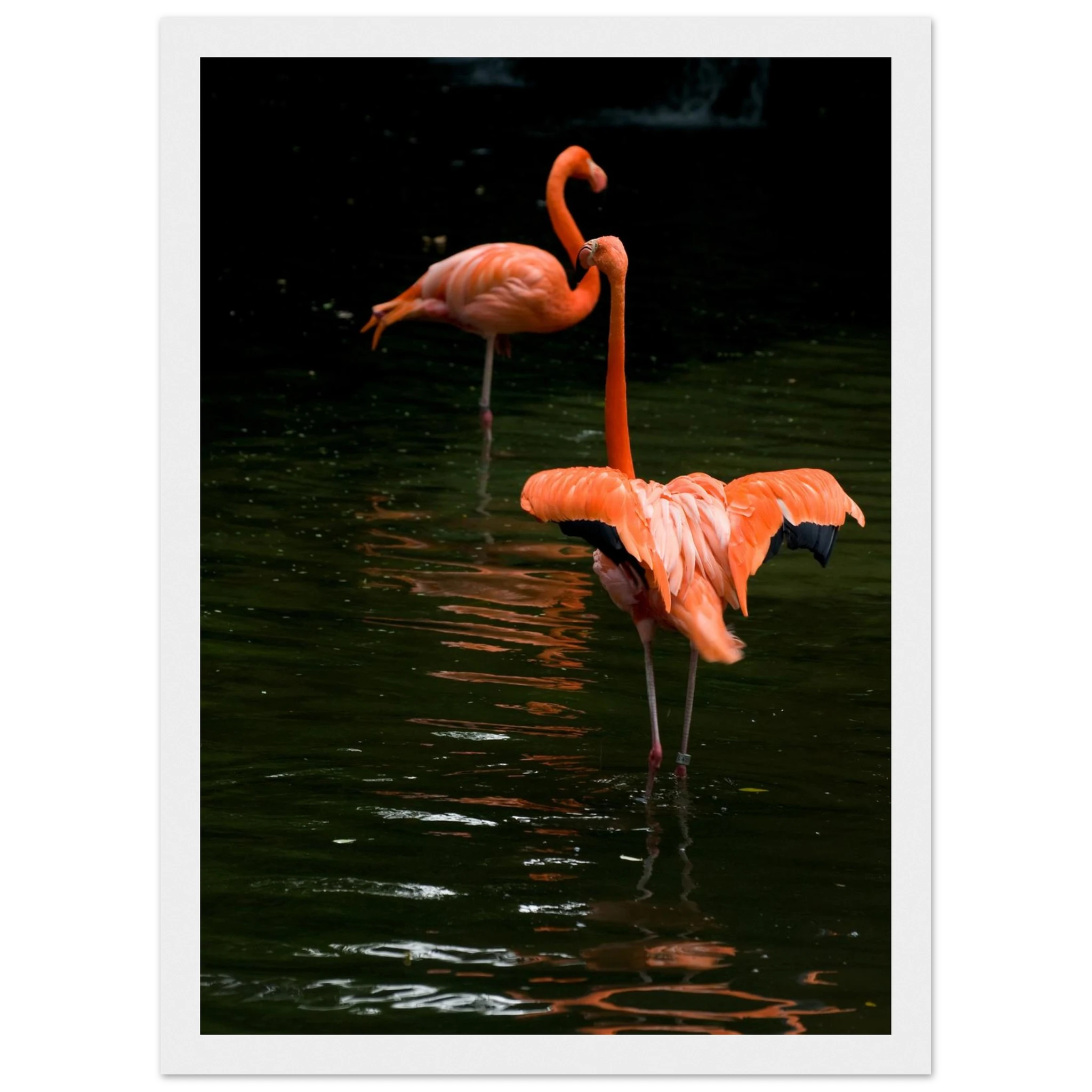 95c2a469-6db0-43c0-8cfb-55f8ca6890a3