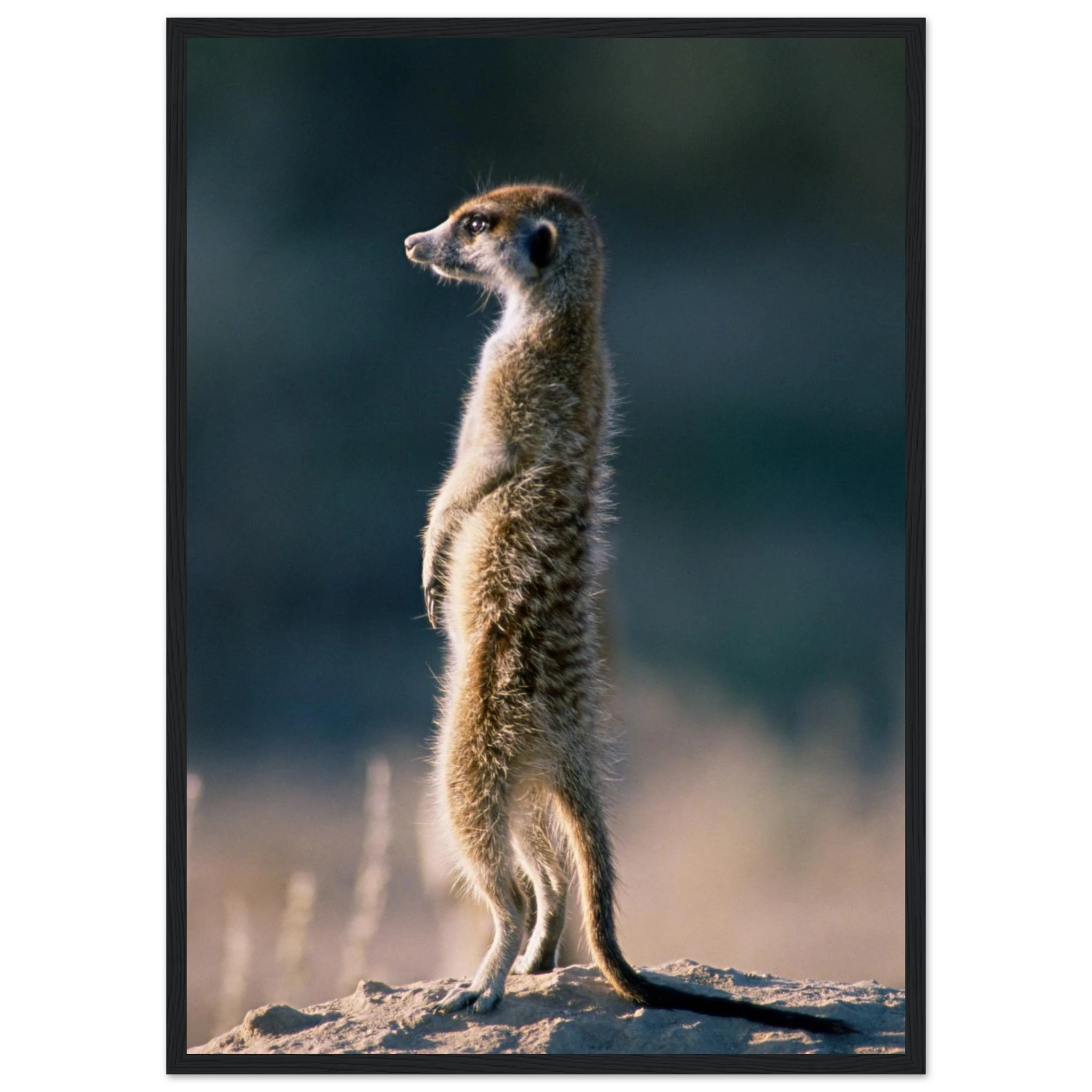 95e08cd5-83e2-498d-b08a-49a3d69bc0e9