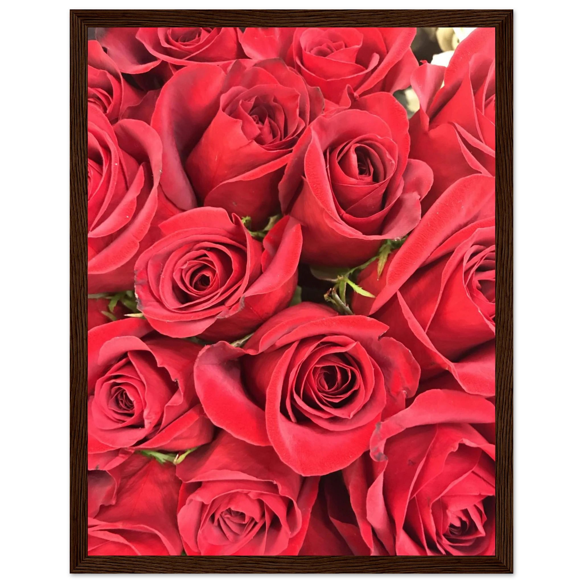 95e90319-b73c-4e85-95b8-55580391620d