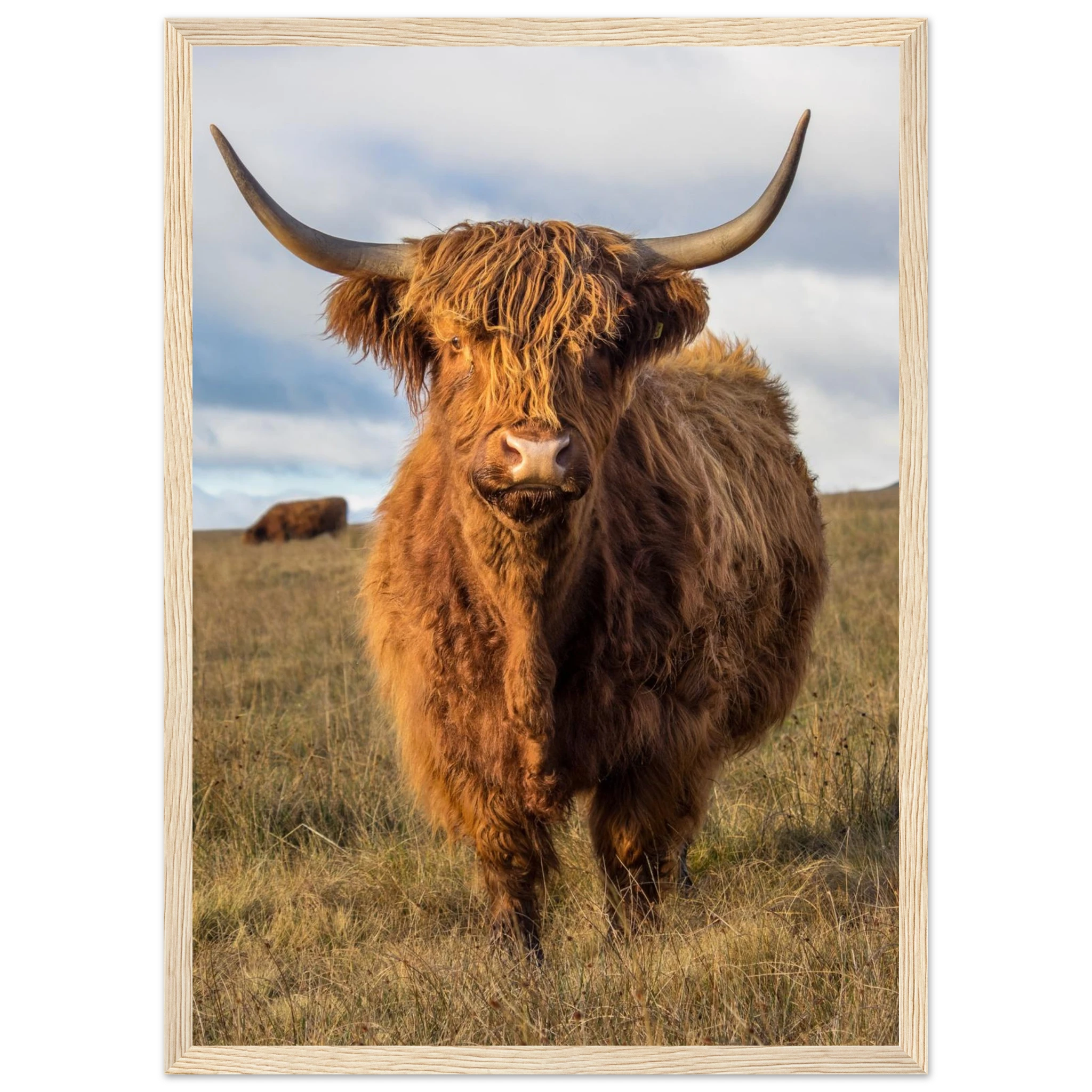 95efa1fc-30a4-4f4a-9b18-8424ceae7304