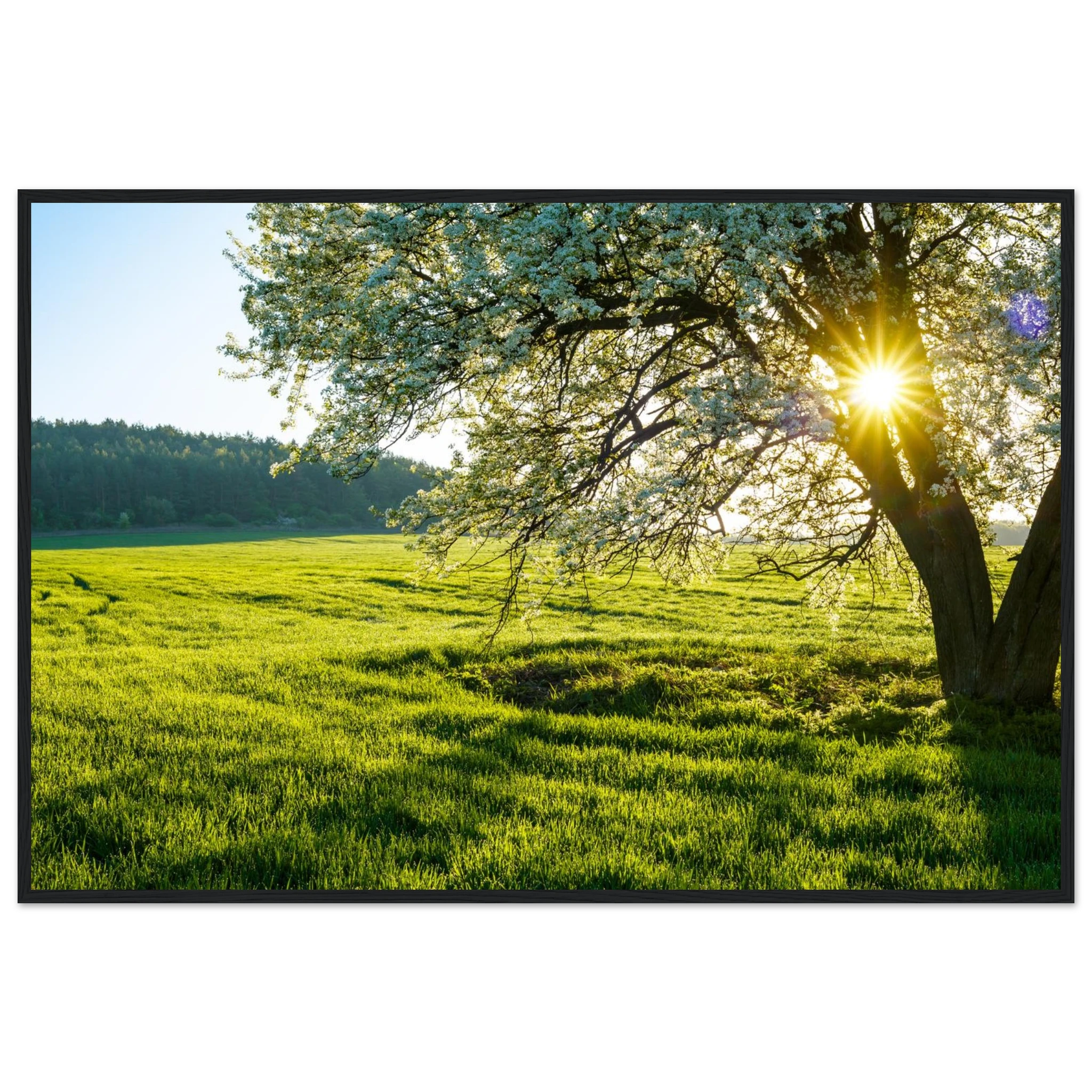 962b40b1-5495-4453-beec-c5d87e2d14ed