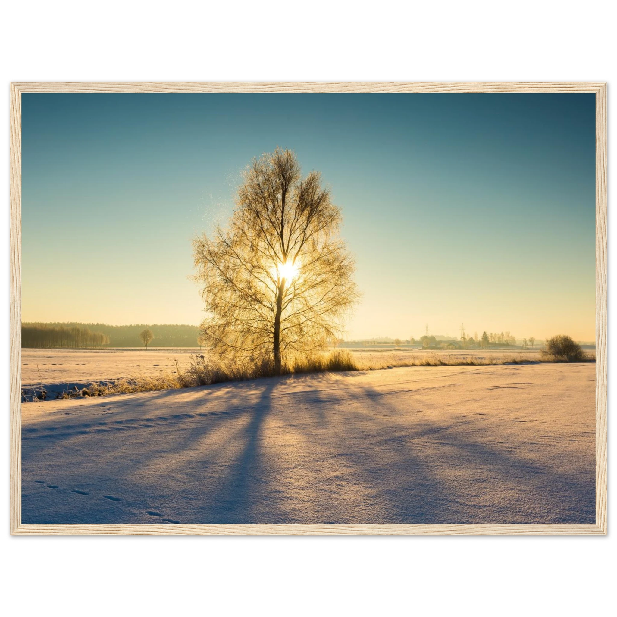 963449ba-f262-4ae7-97f3-c74bae0b1e74