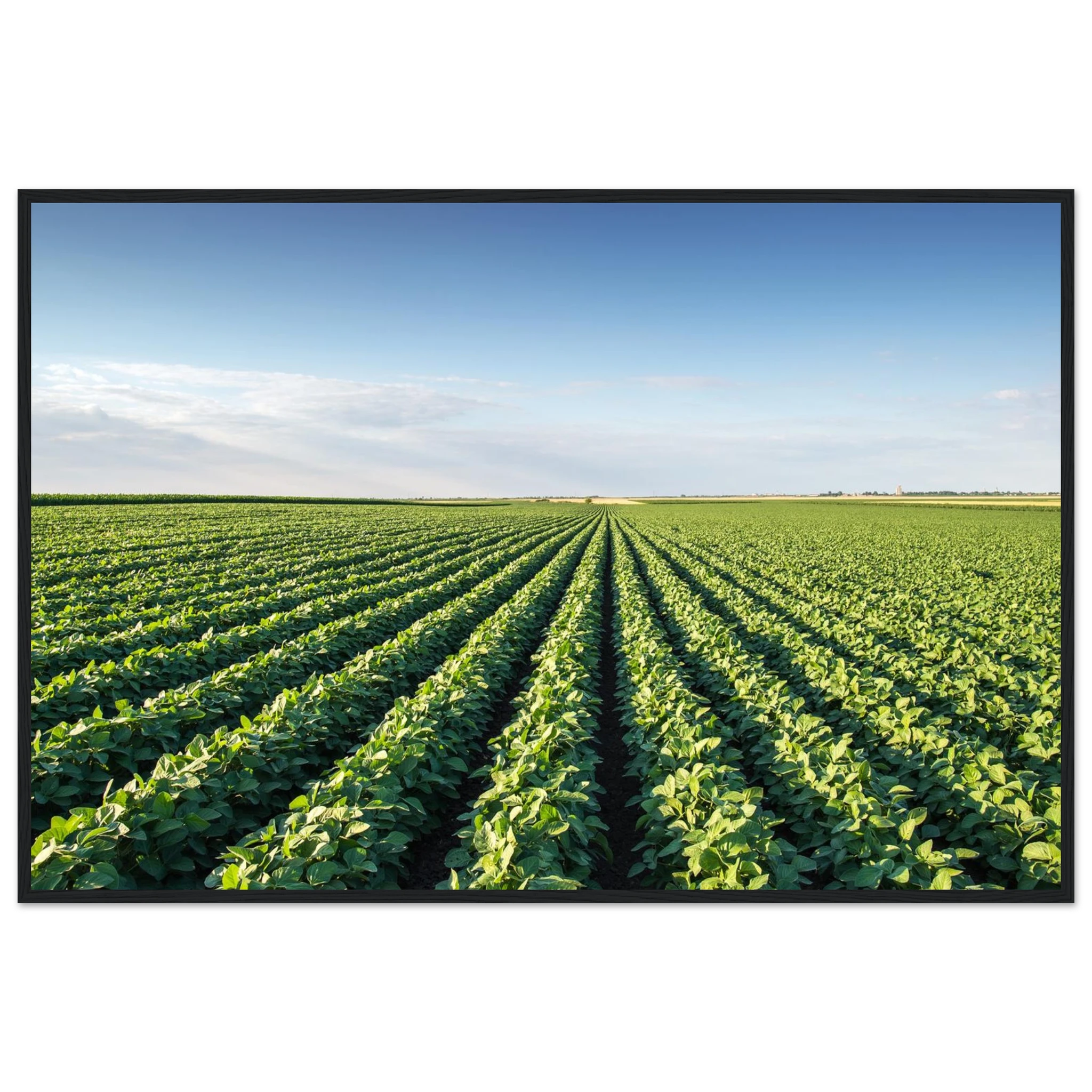 963a0c6a-baff-402a-b4c1-e5b225e2d20c