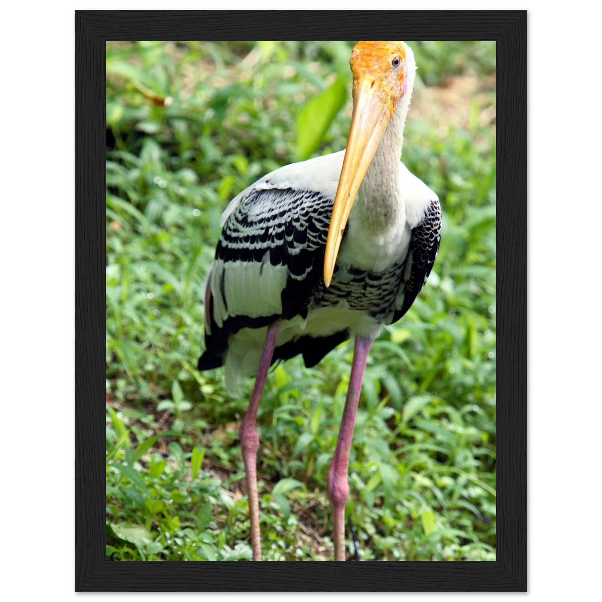 965be094-2a9b-44c9-b523-859e0e1300c7