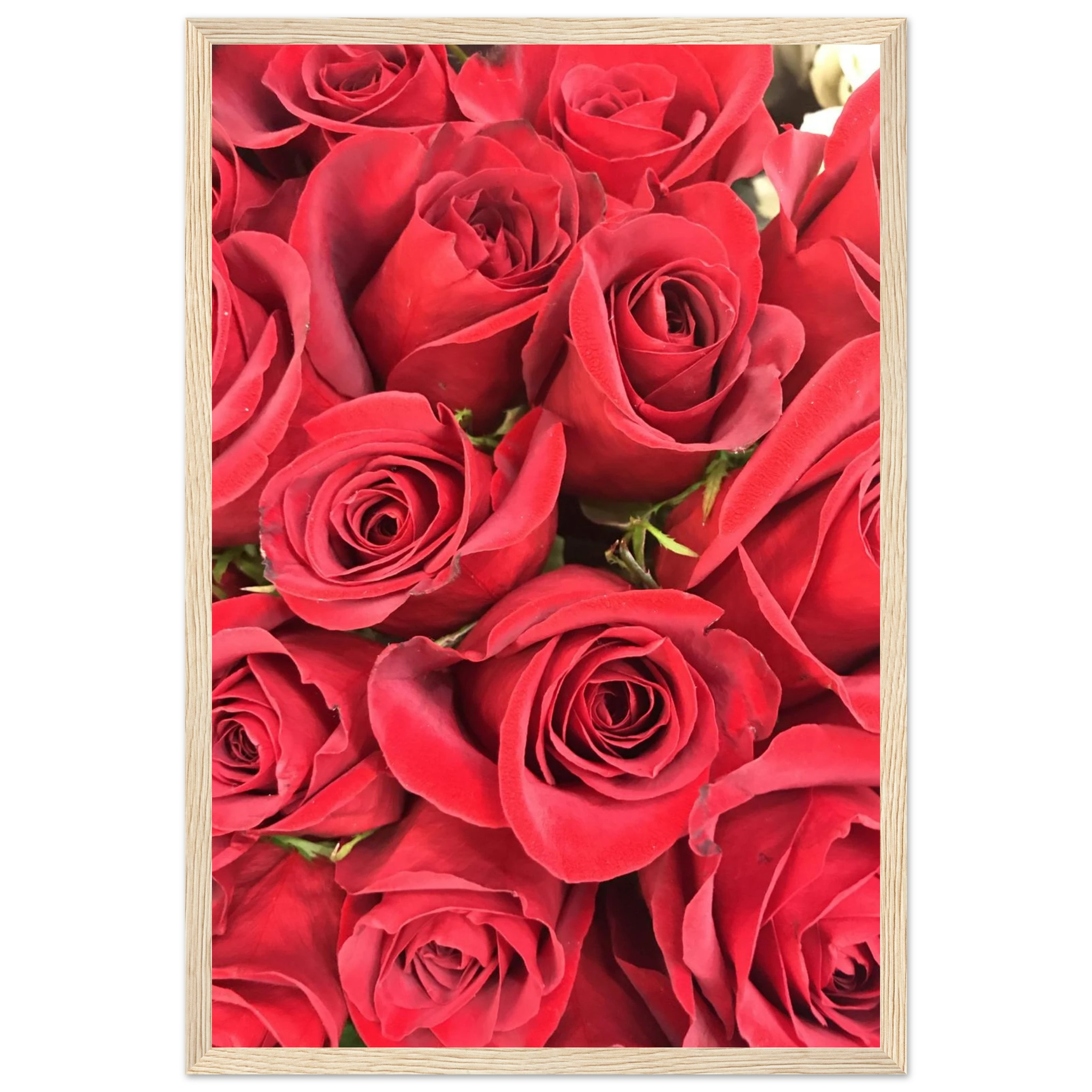 96608bc7-9d46-4d1b-ae20-c36db0ddda99