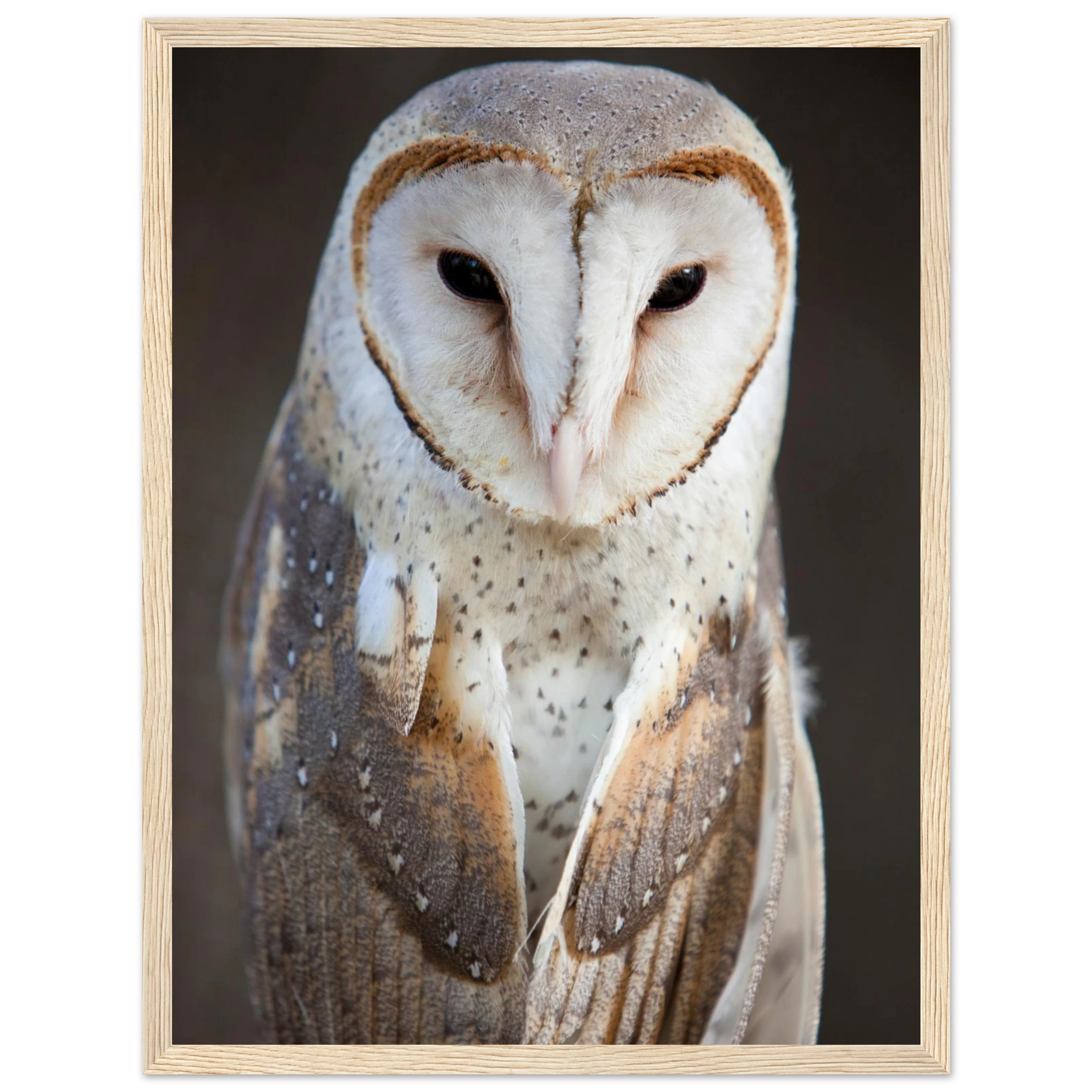 9677667f-3bf0-4efa-bce5-15afc3d0fe55