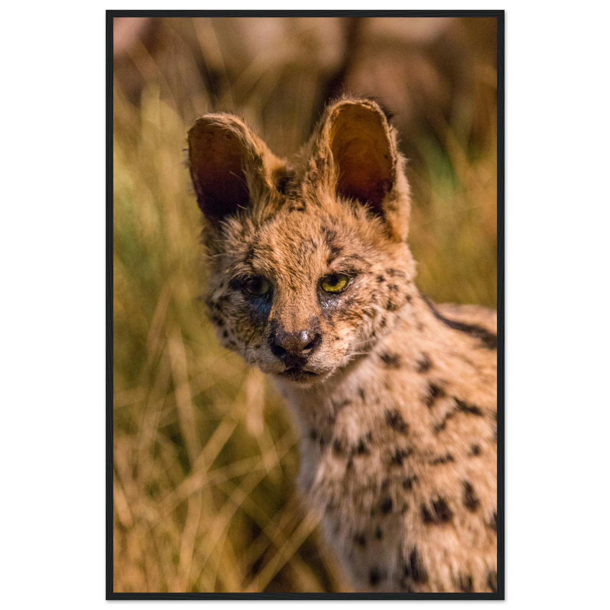 96866bc6-a392-432d-a842-61a5ad995051