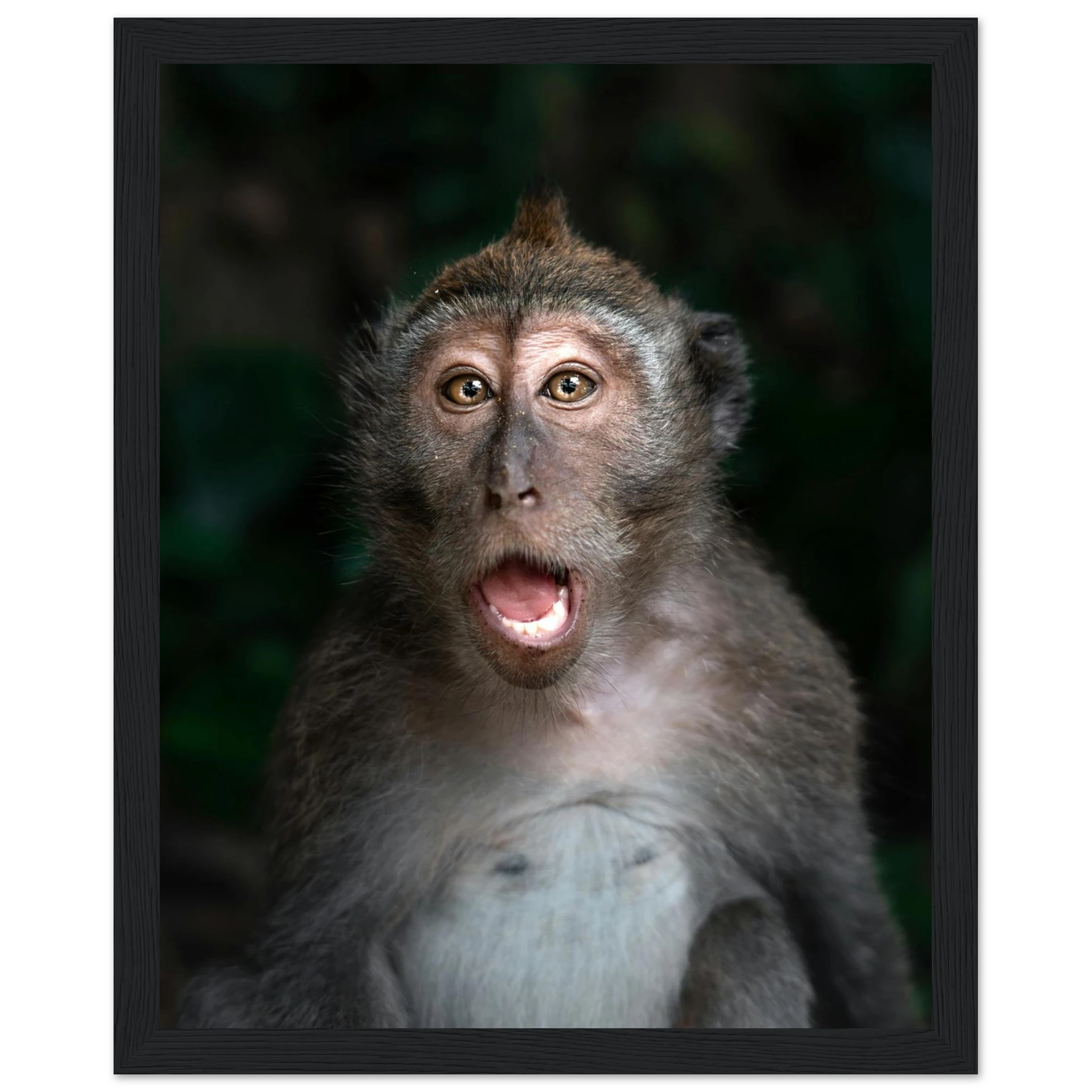 9693d3b7-e95a-41cf-ba83-3fca5e2a94c3