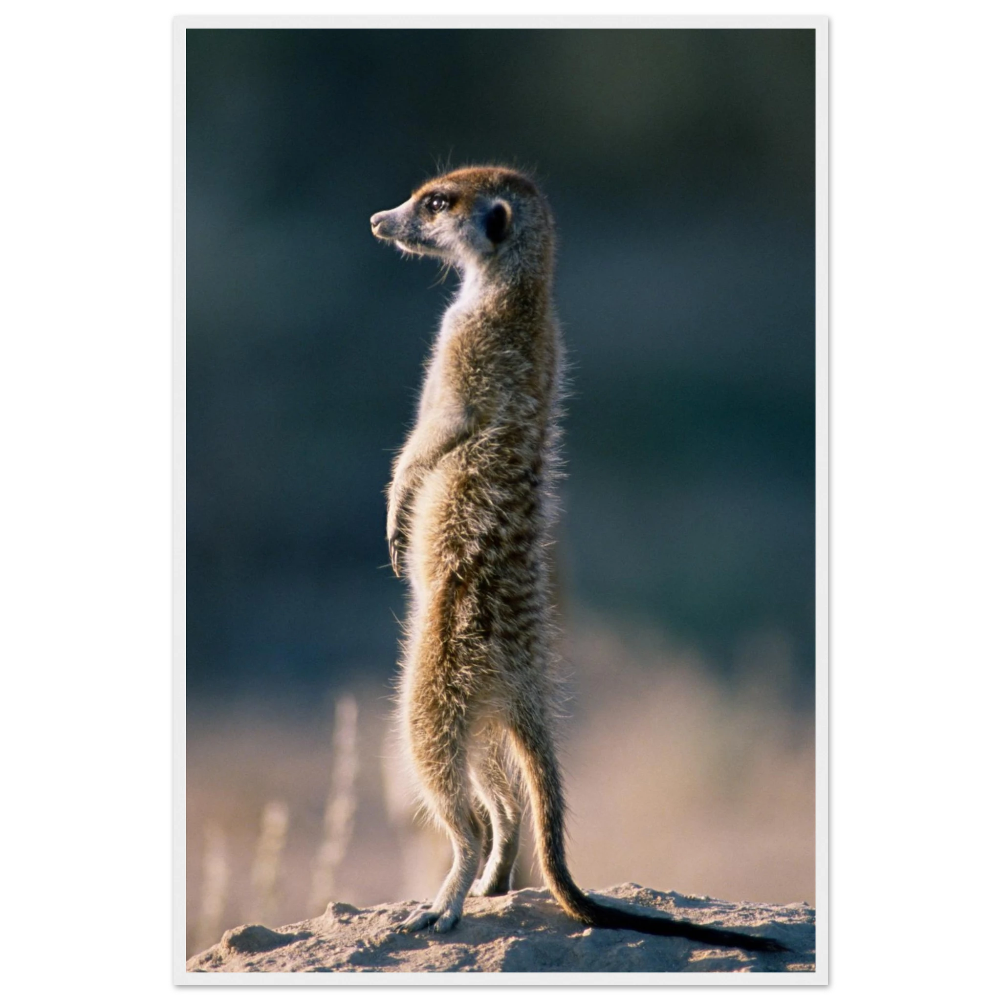 969c0234-5e6b-421d-9d47-21a6ccf5d46b