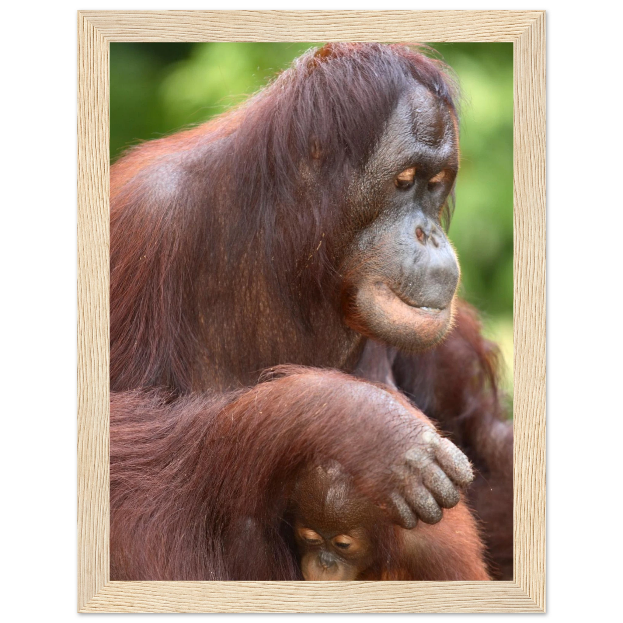 96a11efc-27ef-45cf-bf48-cae712453fc9