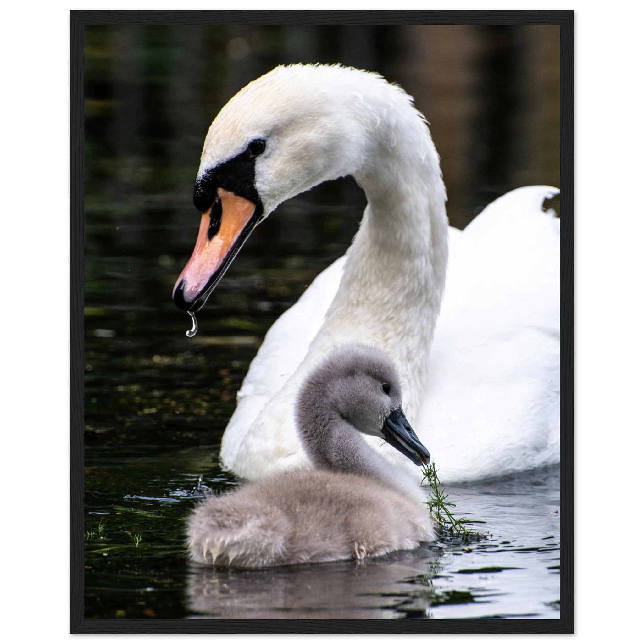 96a36288-dc72-4abc-b7de-bc4888c96edf