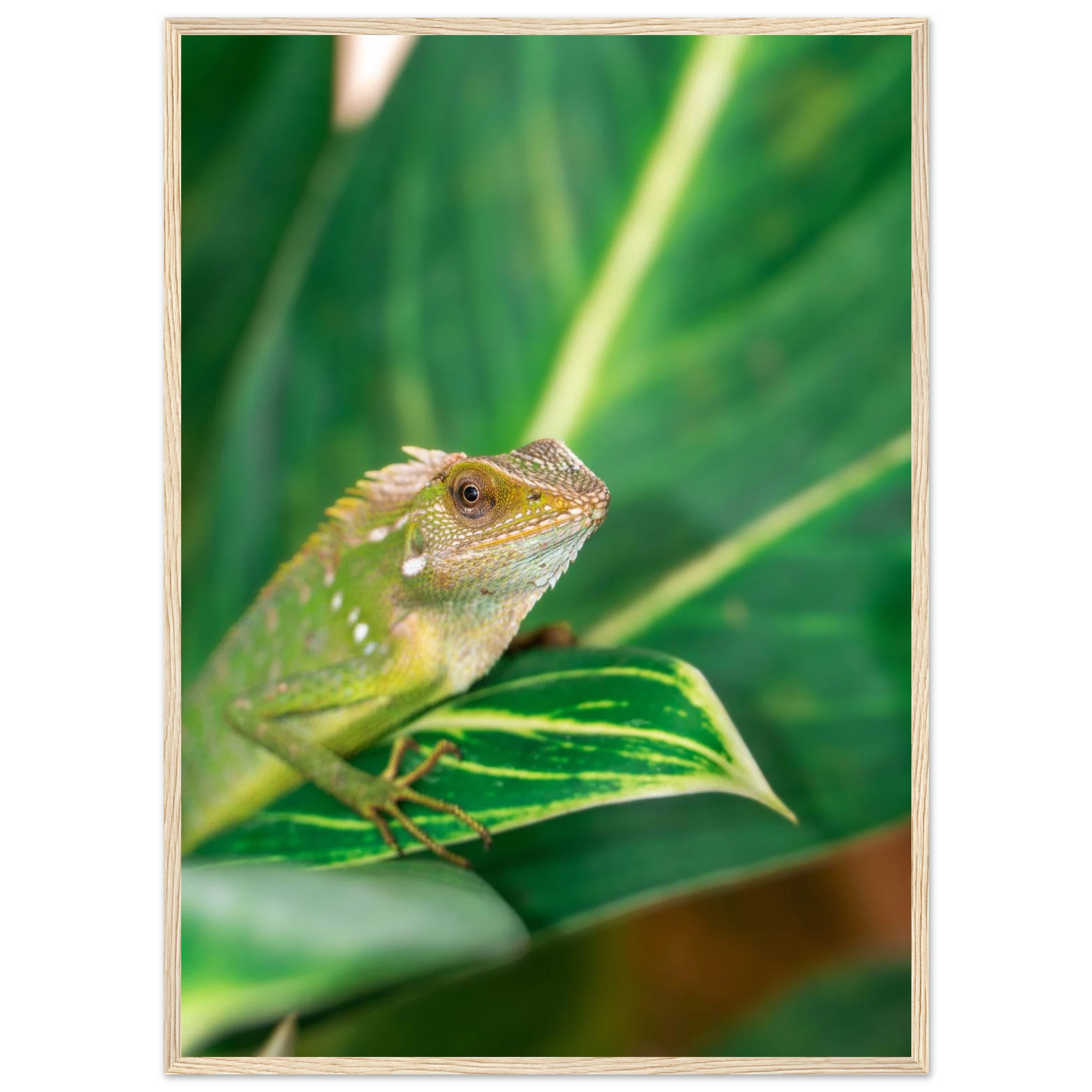 96ad956b-2024-40e6-92e8-ca255eb77c8d