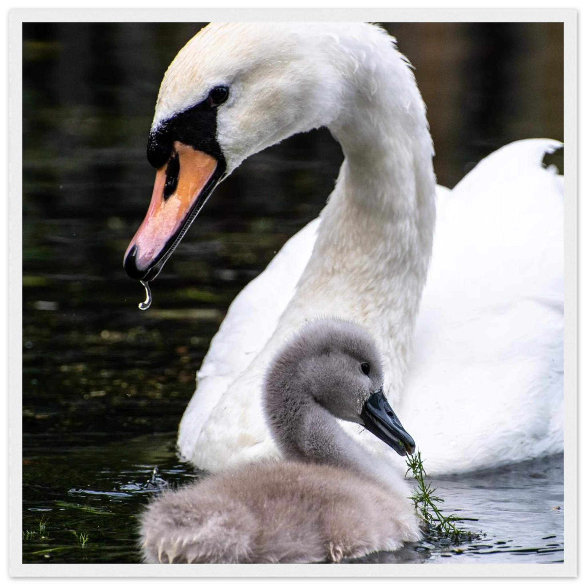 96c02f32-af25-4343-938e-c3909ee1a22c