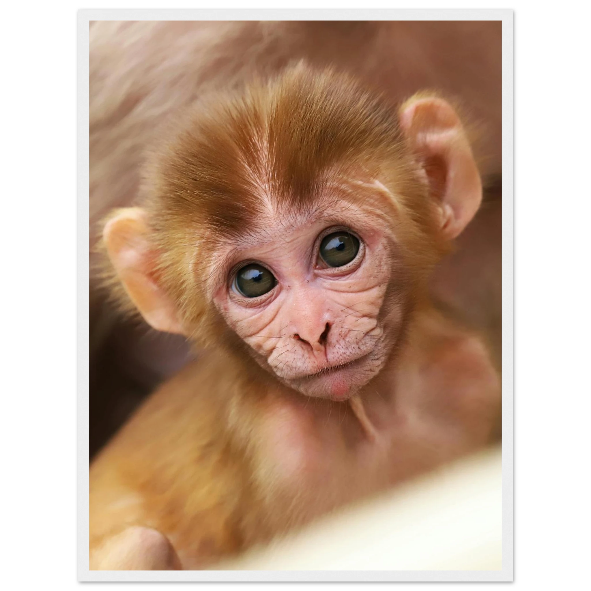 96d9b85b-687c-45f3-96f7-b1a74712f96e