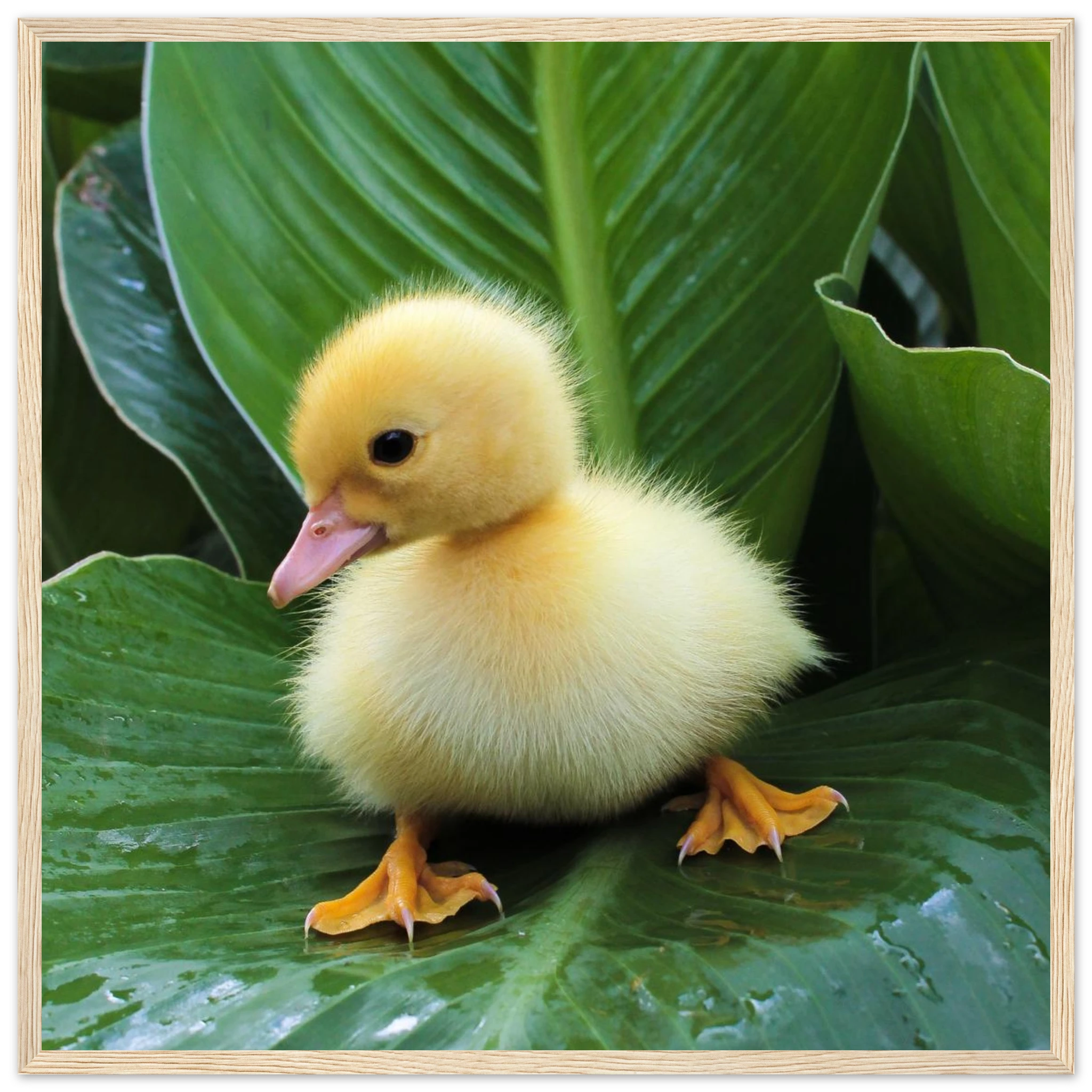 96da29c8-c282-41a6-994f-3d1b7178b51e