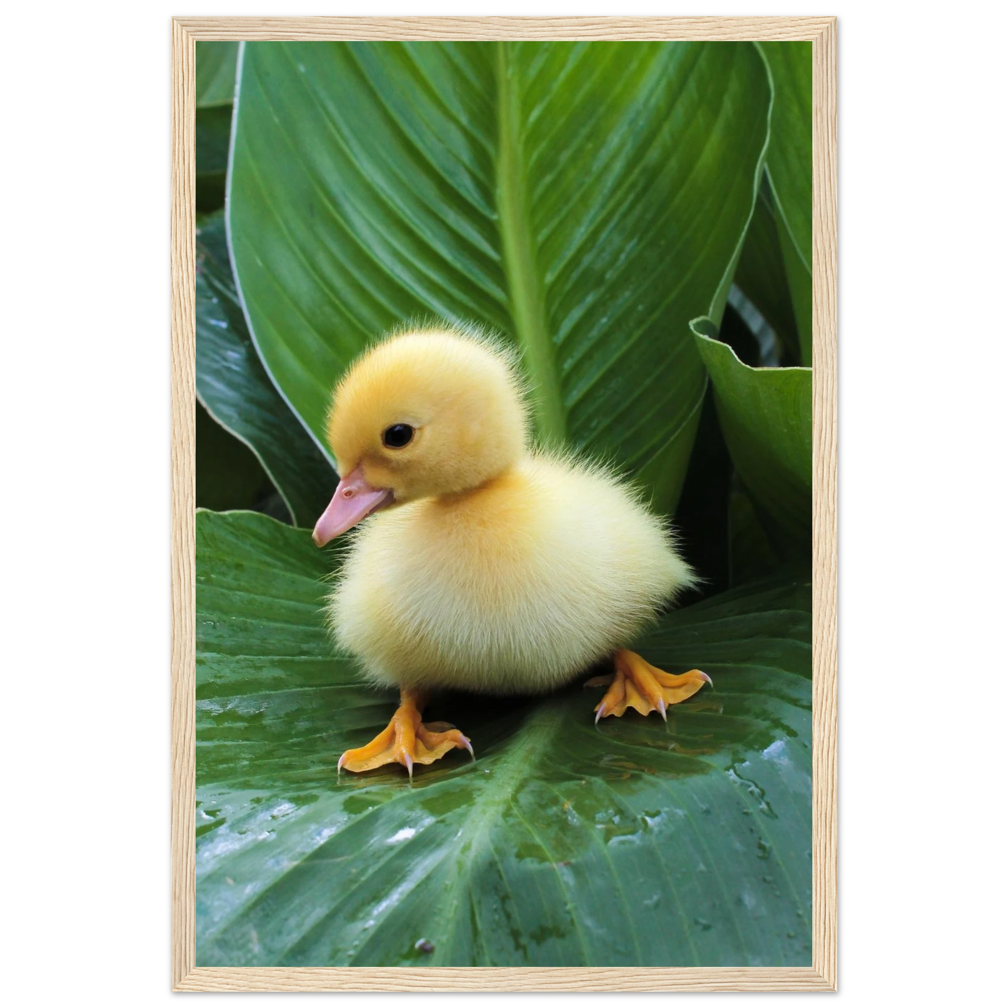 971568be-a4a8-4b74-a336-1612efc06f2b