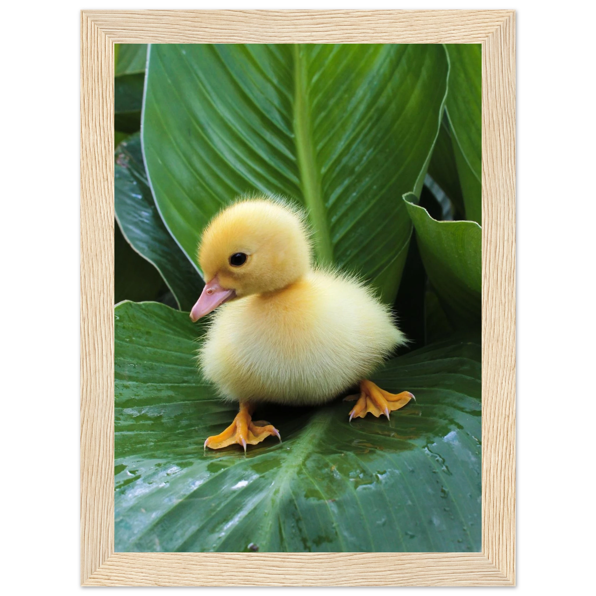 9739b66b-3e75-43cc-979e-f689b1b35dad