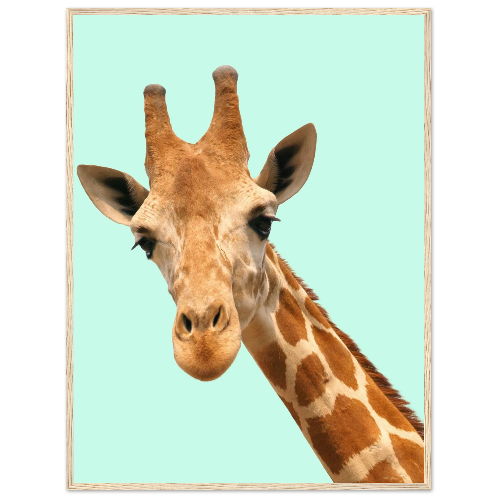 9742f2b2-26e5-4db2-9d50-94760d9dc76f