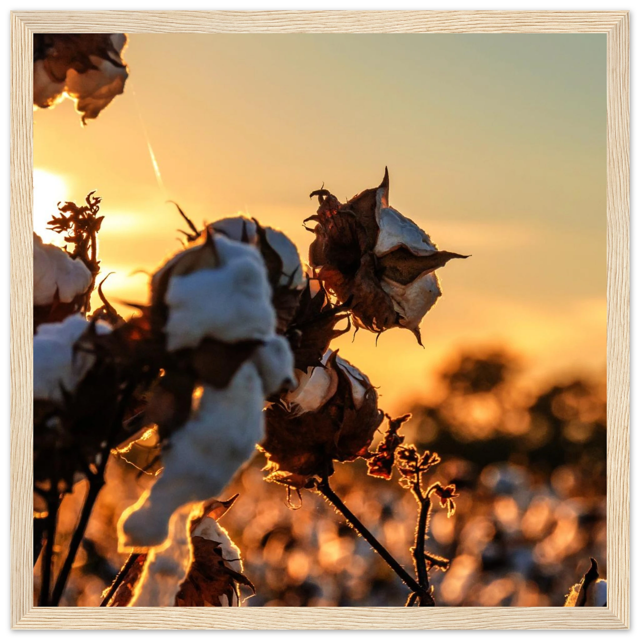 975747ee-0fb6-42a7-a066-017e0e87d3aa