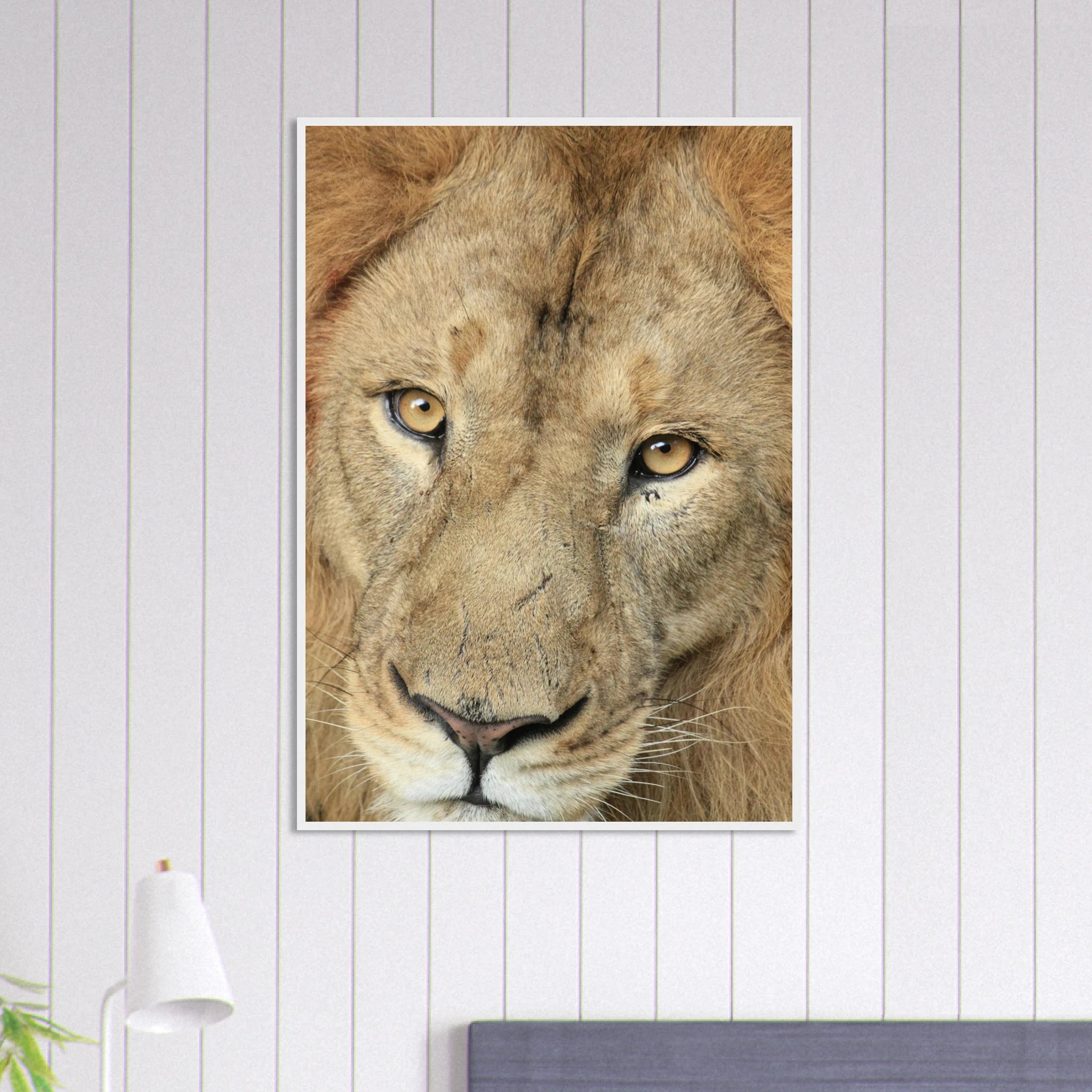 977a0a90-3505-48d7-86e9-b106affbb23f